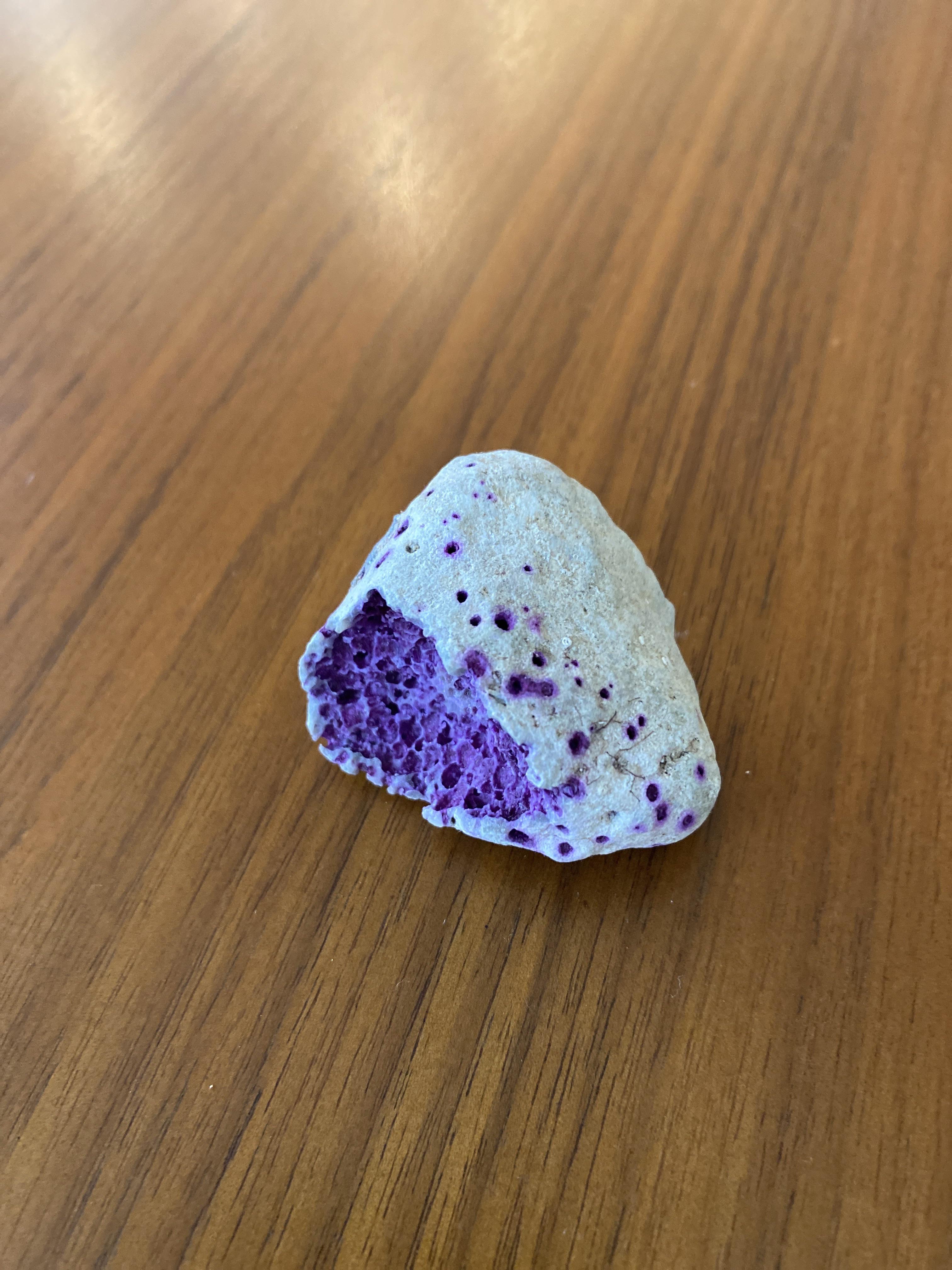 I found this limestone rock colonized by something (?!) that is eating