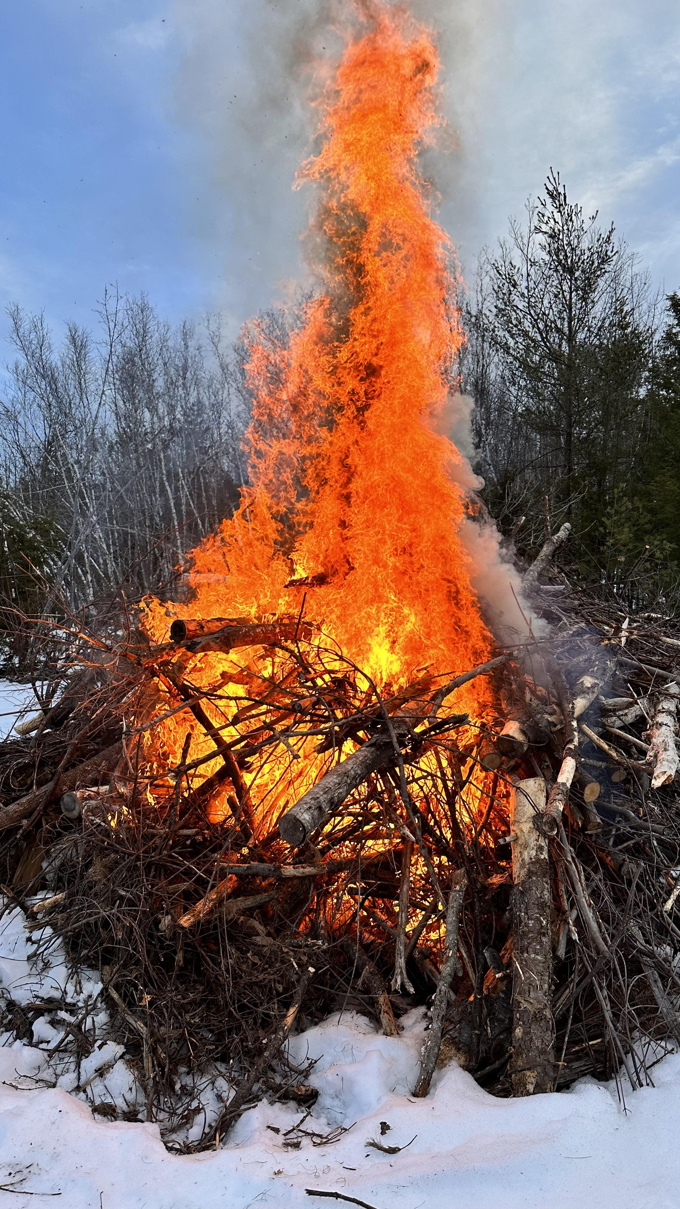 First time burning a big brush pile, went better than expected. No wind