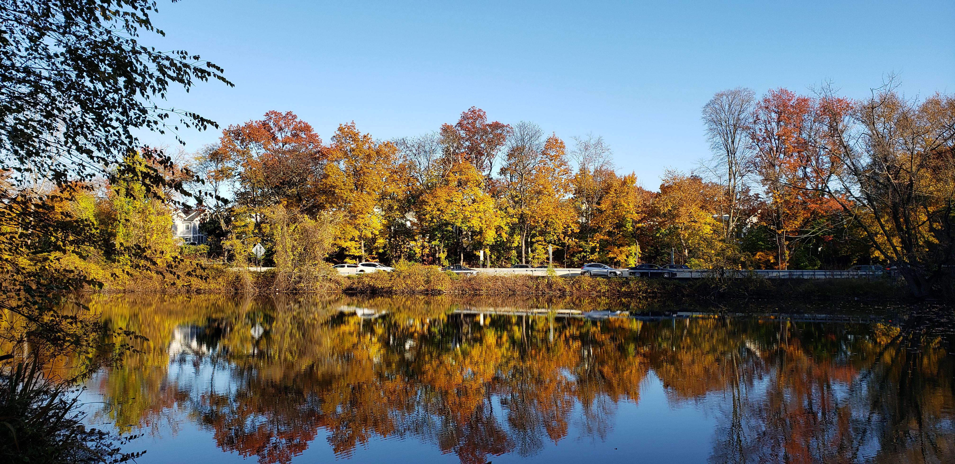 Willson's Woods Park, Mount Vernon r/Westchester