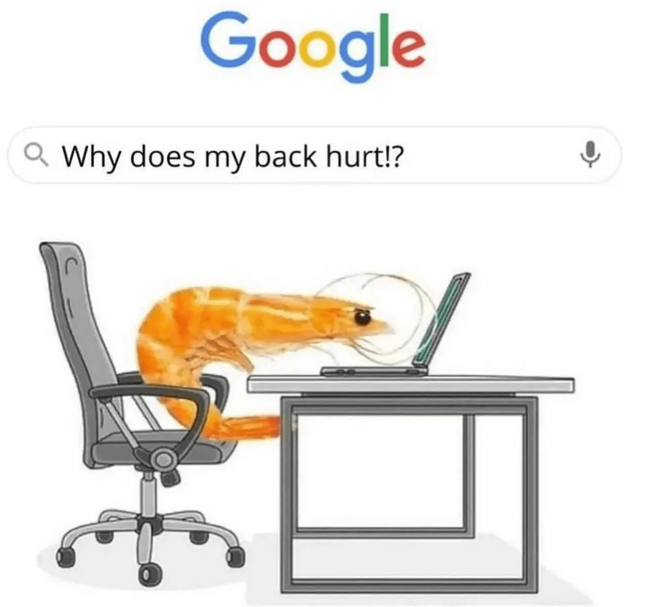 41 best u/aemiliush images on Pholder Memes, Me Irl and Thanksihateit