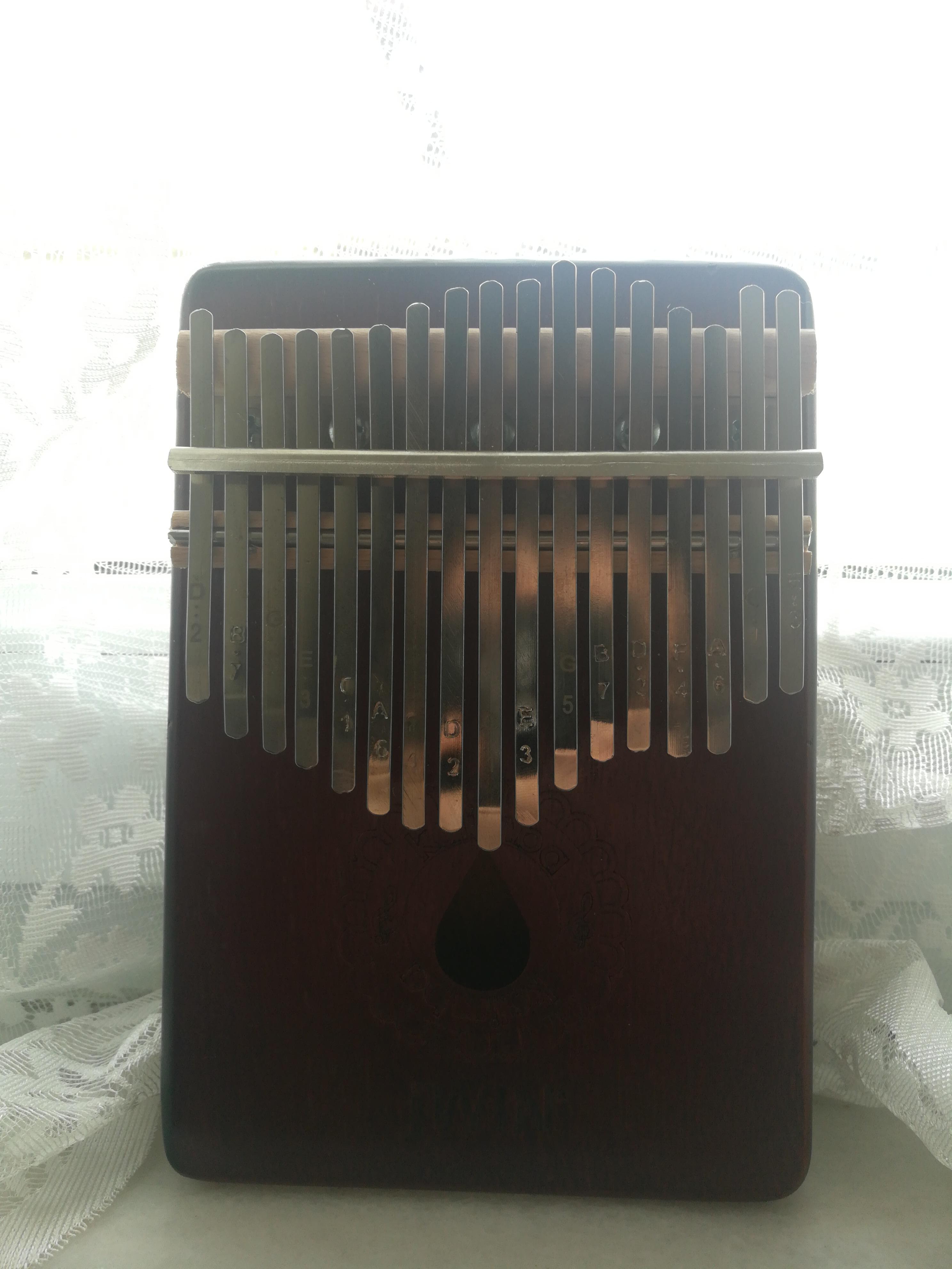 Bought a kalimba yesterday and I already messed up tuning. I'm using a