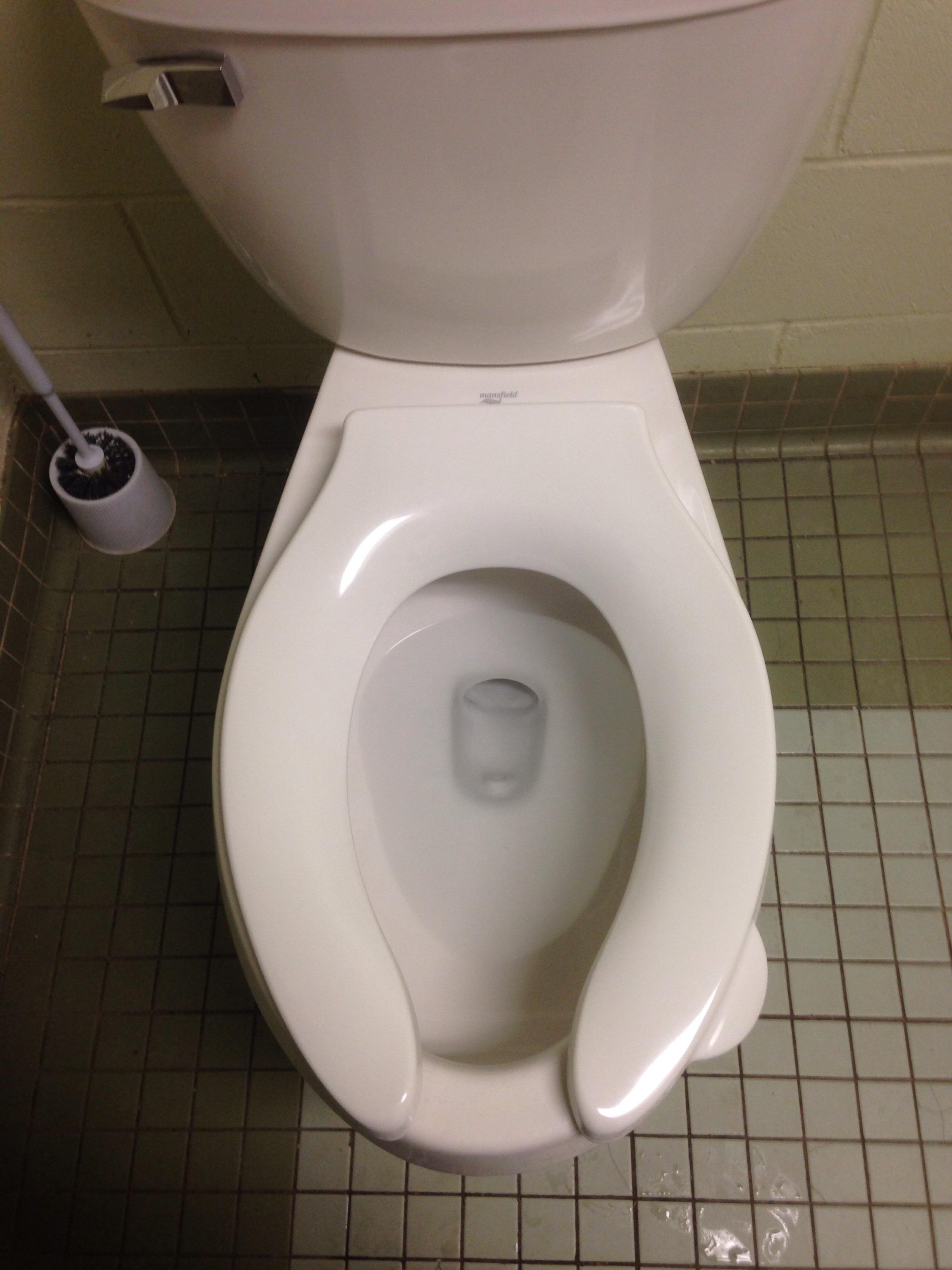 This toilet has a small handle to lift the seat without touching it