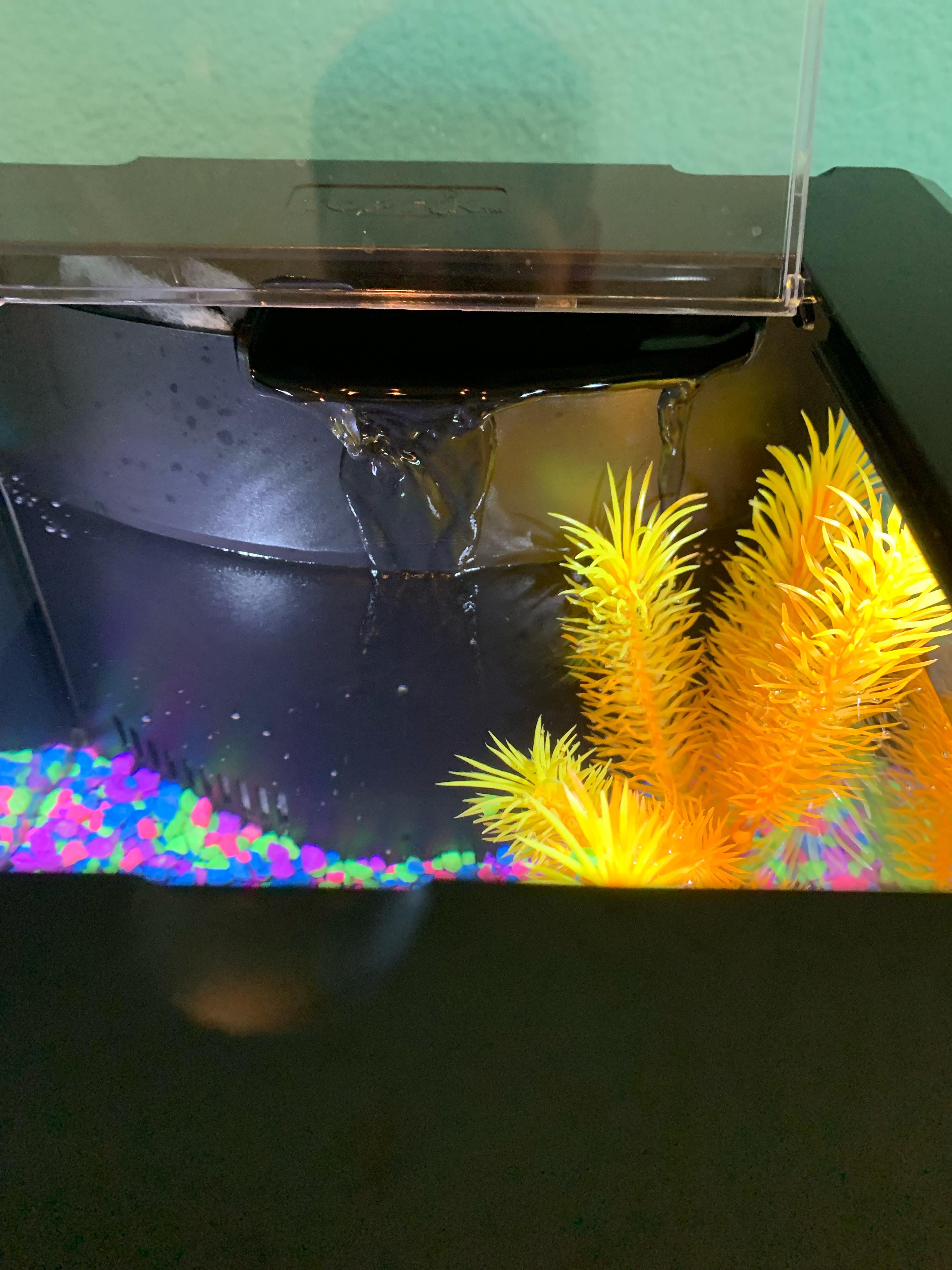 How high do I fill the tank? Should the water flow down into this