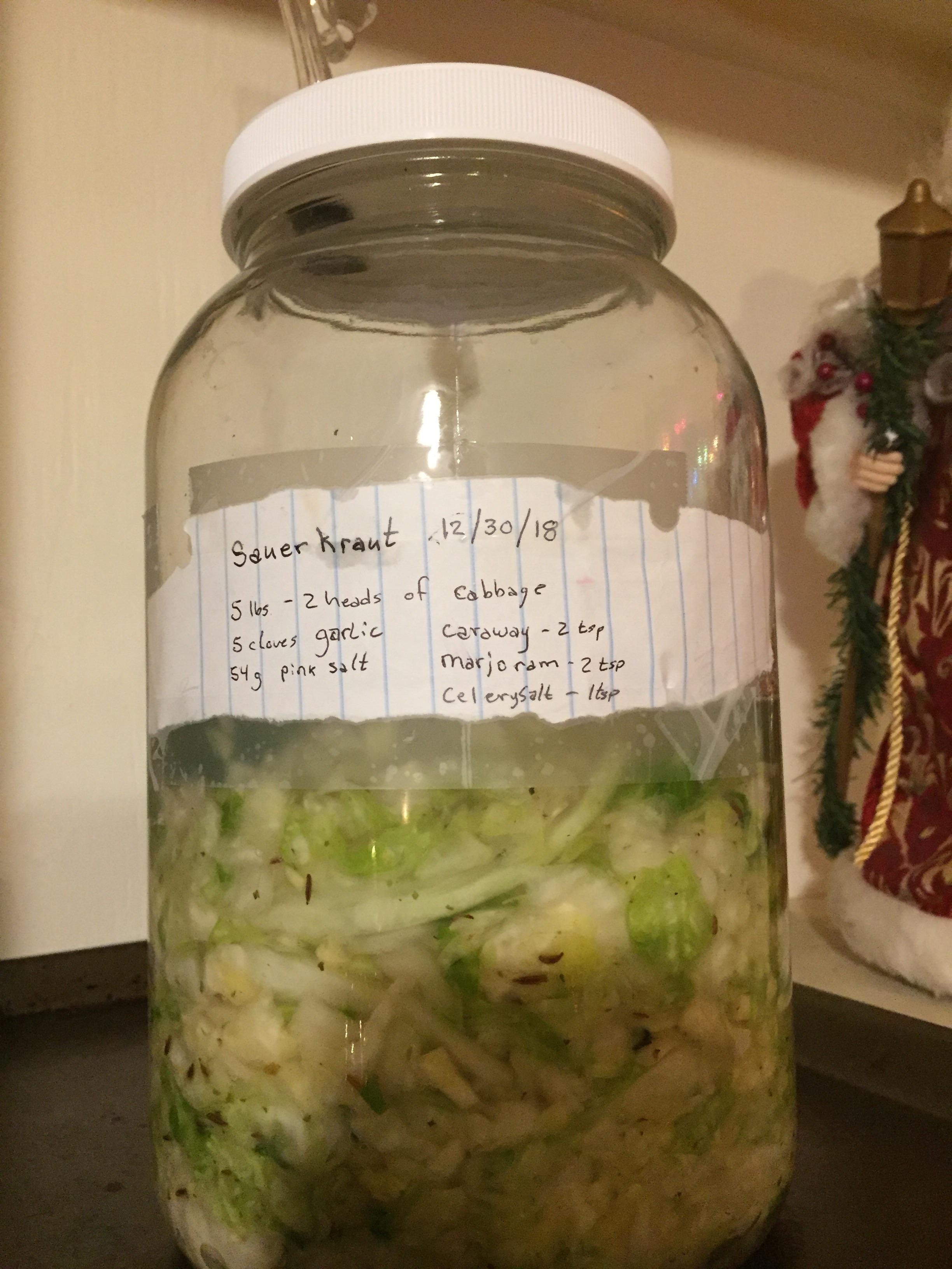 First time fermenting. Figured sauerkraut was a good place to start