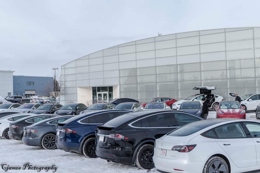 Edmonton's Tesla store full of Teslas... r/Edmonton