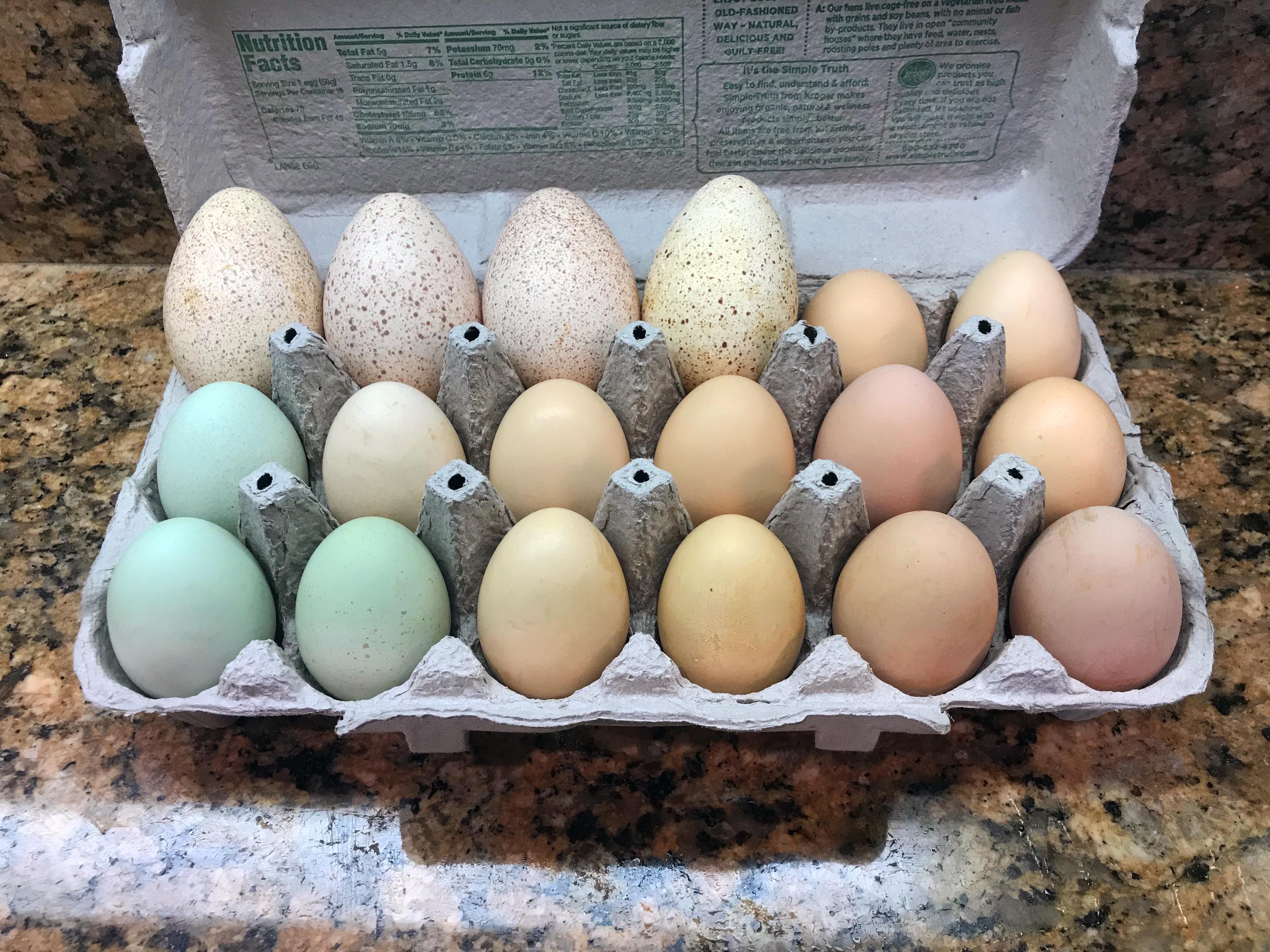 When your Thanksgiving turkeys turn into Christmas turkeys, you get