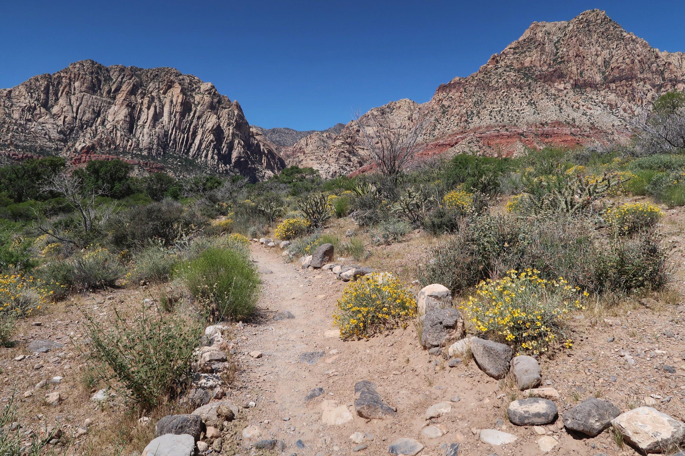 Hiking at Springs Mountains State Park, Las Vegas, Nevada, USA r/hiking