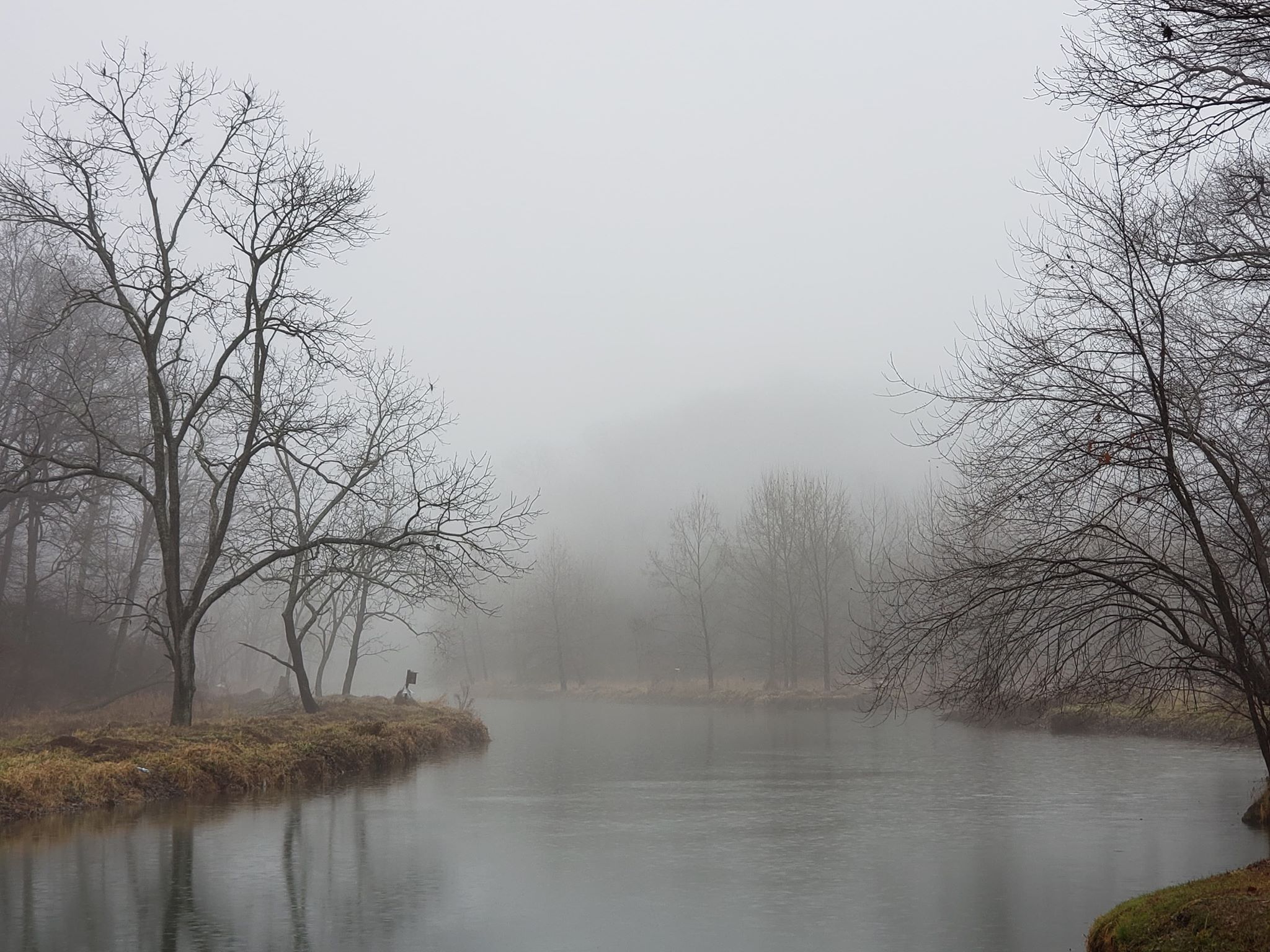 Peaceful and foggy at Deer Creek. Pylesville, MD r/maryland