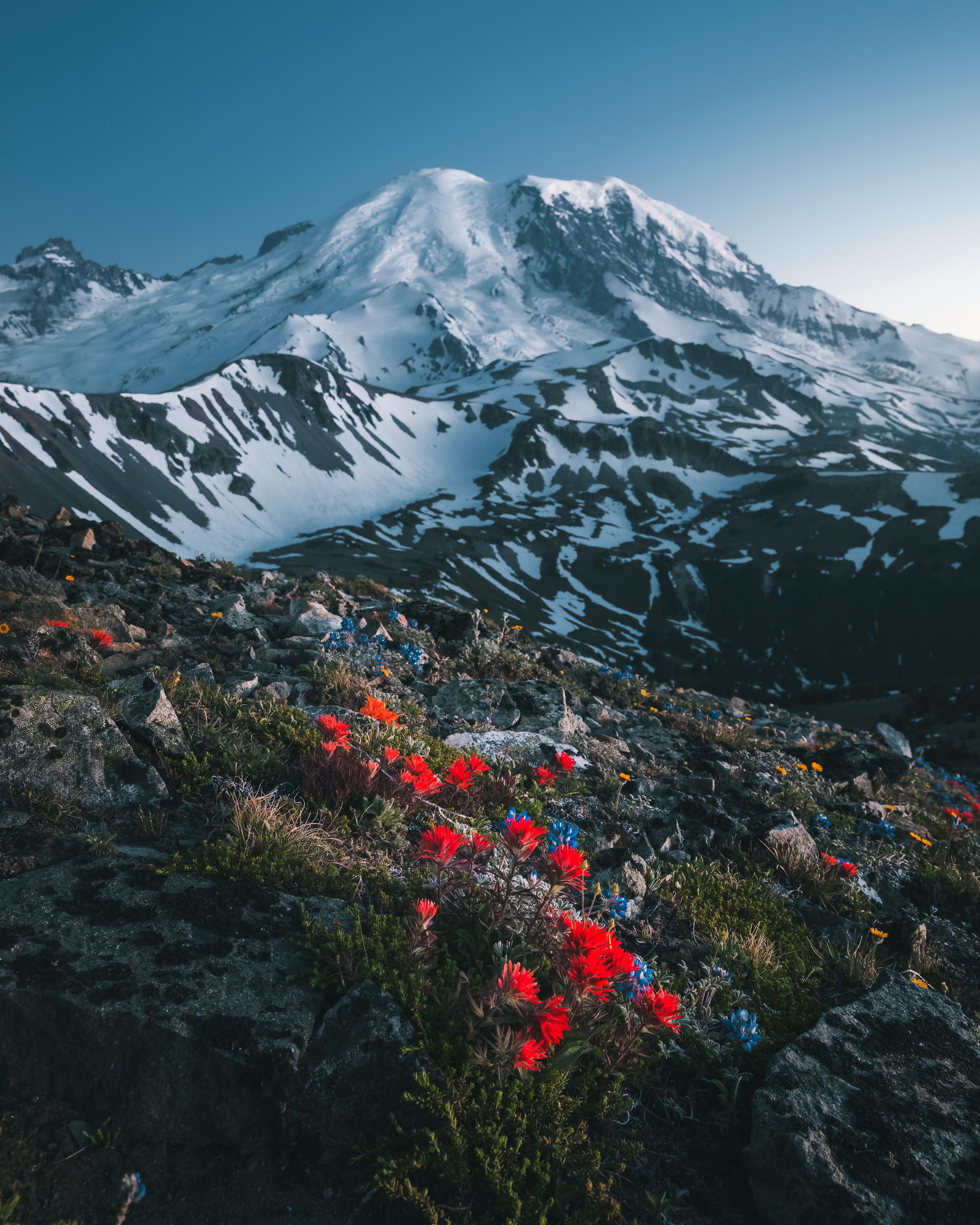 MidSummer Blue Hour on Mount Rainier, Washington [3200x4000] Nature