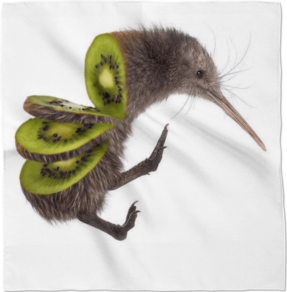 In case youre wondering whats inside a kiwi bird r/thanksihateit