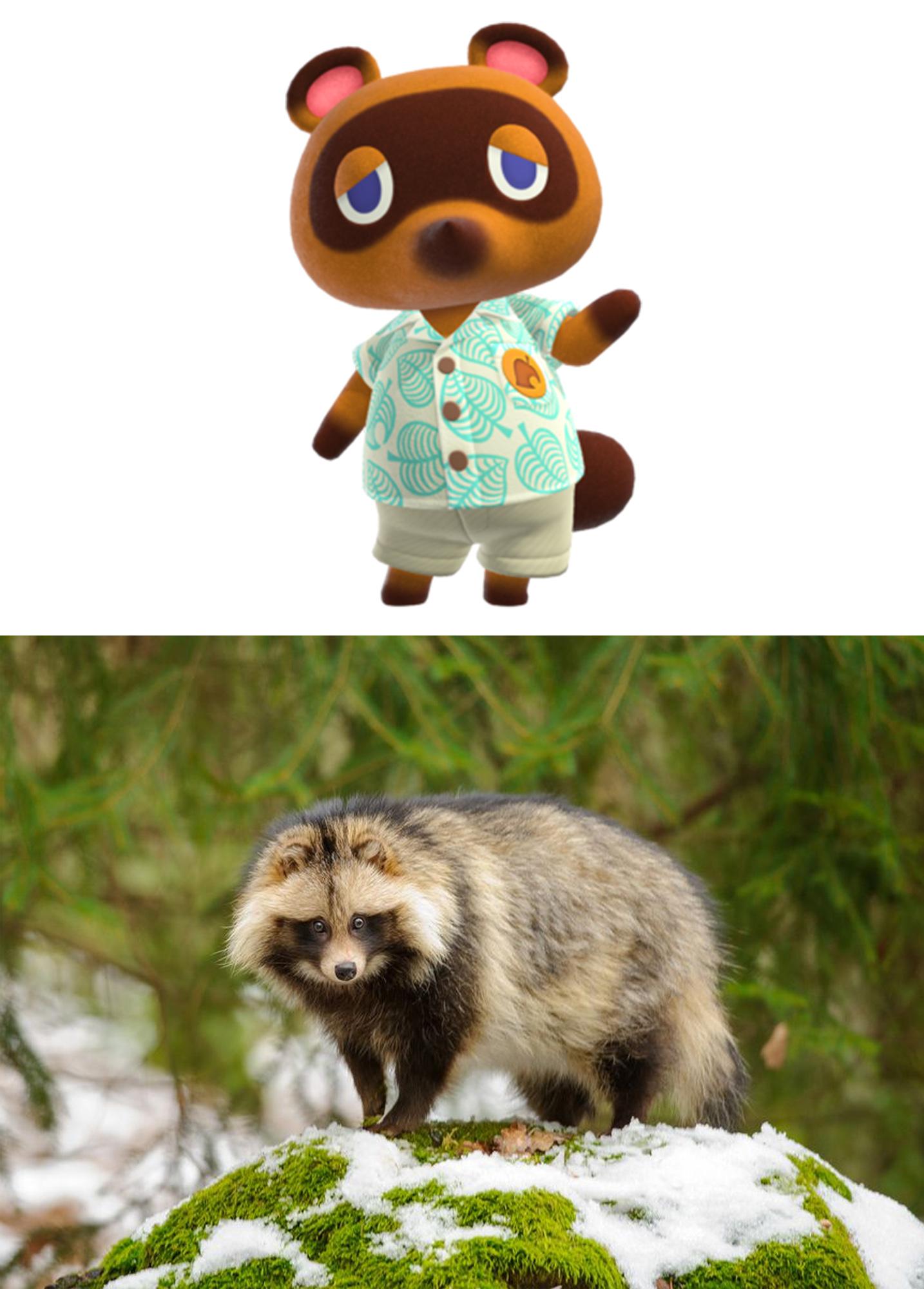 I was "Today Years Old" when I learned that Tom Nook is not an American