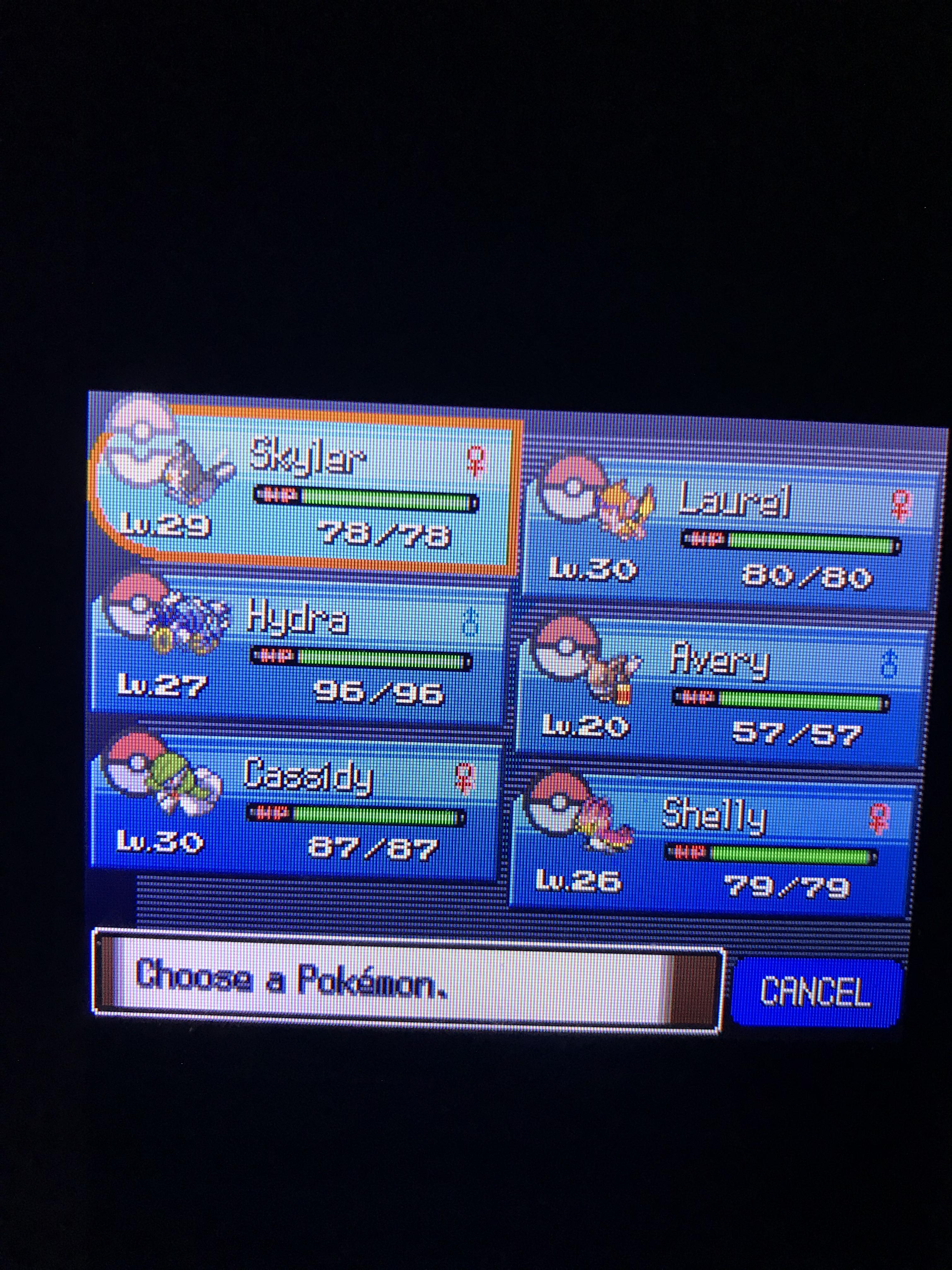 Genlocke Leg 1 Restart Three badges in, I’ve had some better luck and worse luck compared to