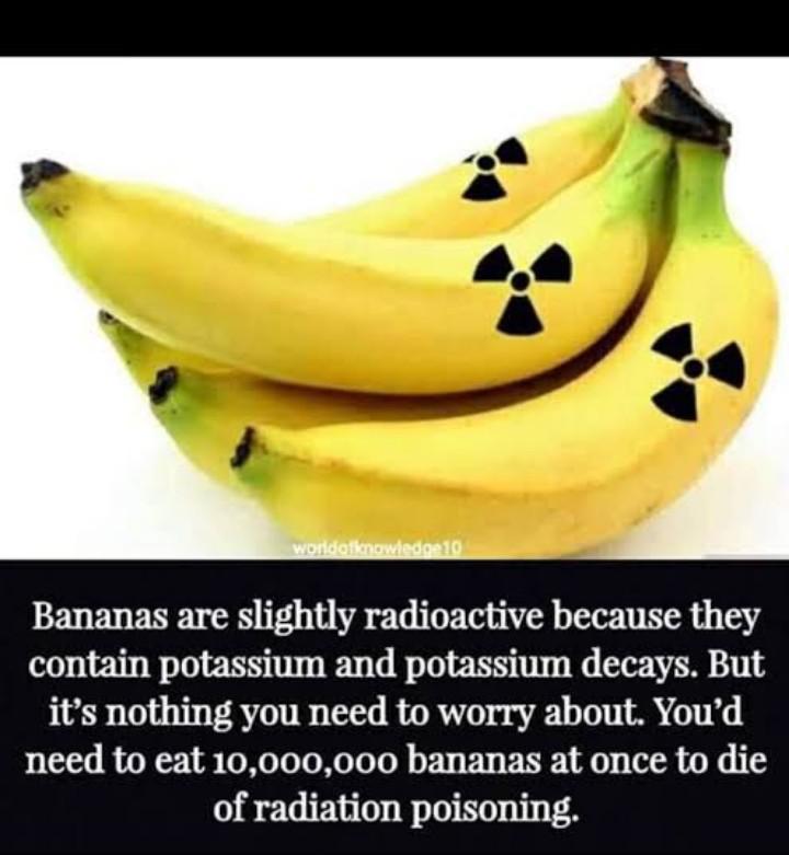 BRF (Banana Random Facts) r/banano
