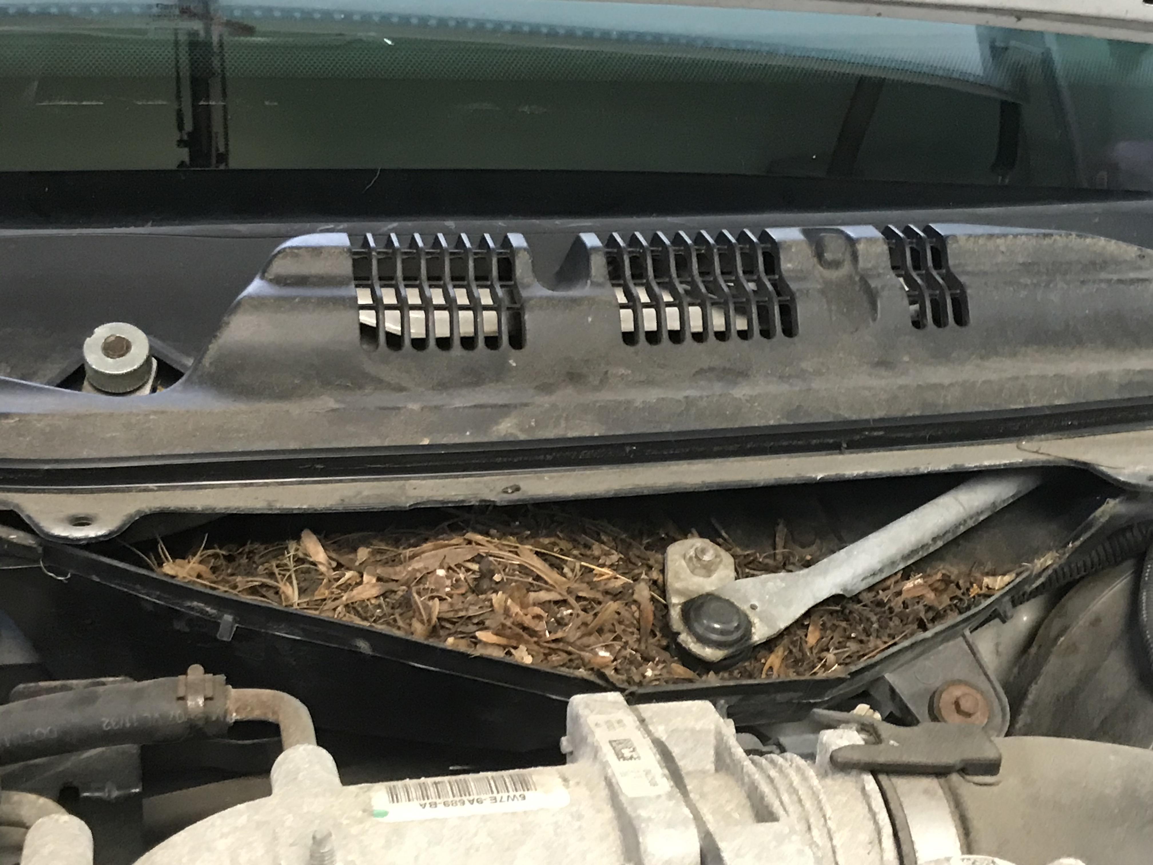 Wiper Motor Failure Replaced! r/CrownVictoria