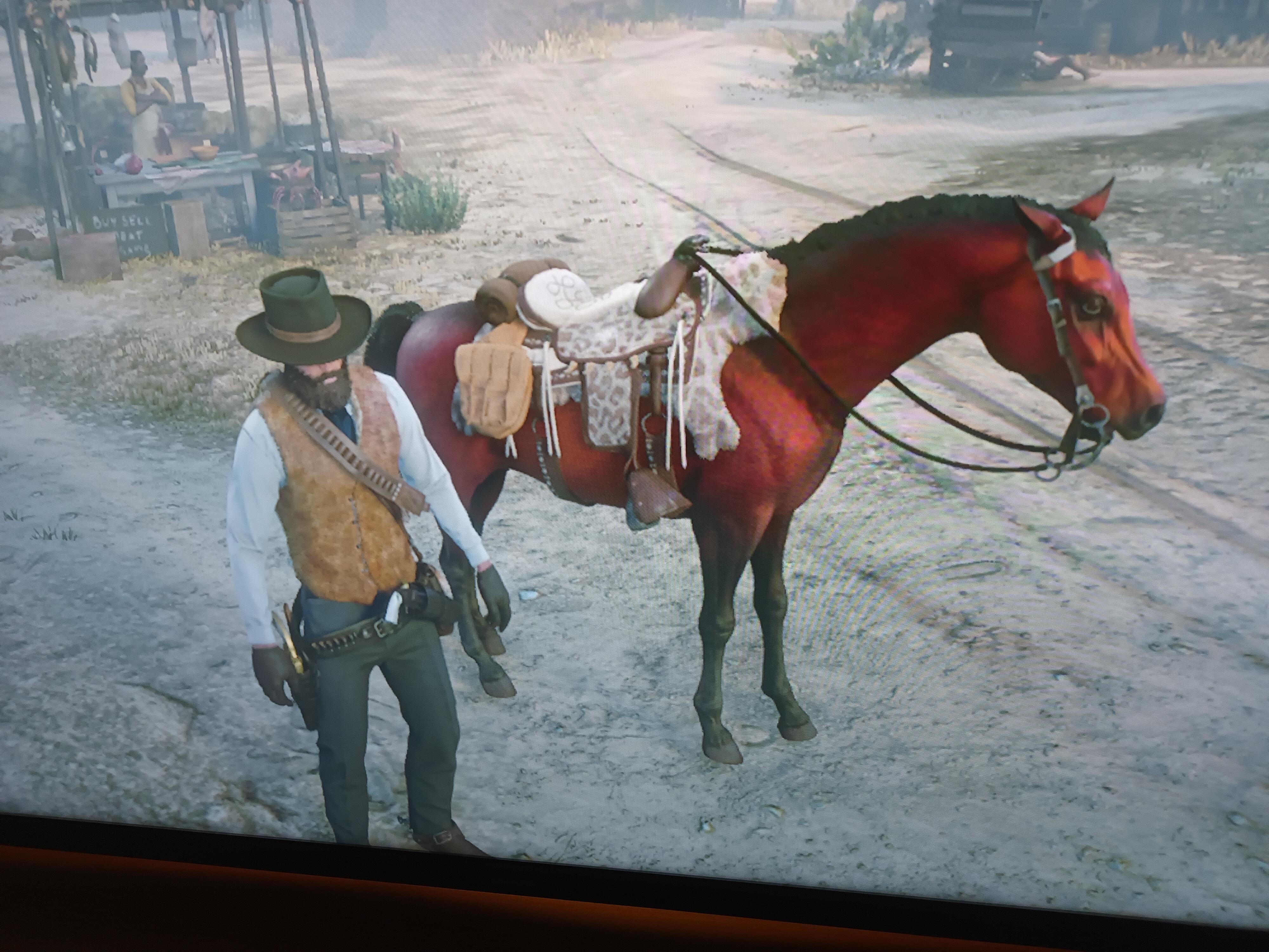what's your favorite pieces of clothing/horse gear in the game? r/RDR2