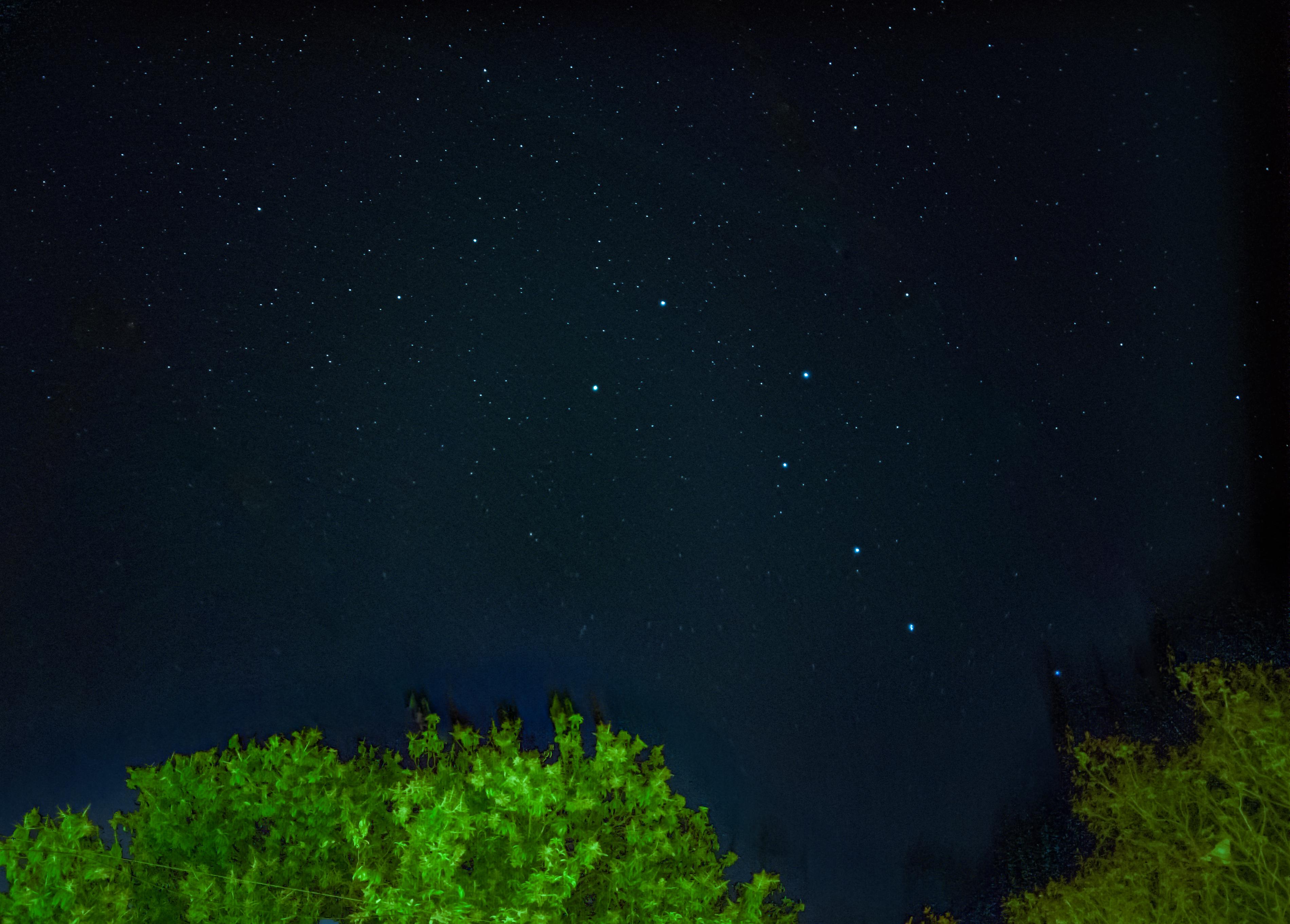 Ursa Major ⭐ mobilephotography