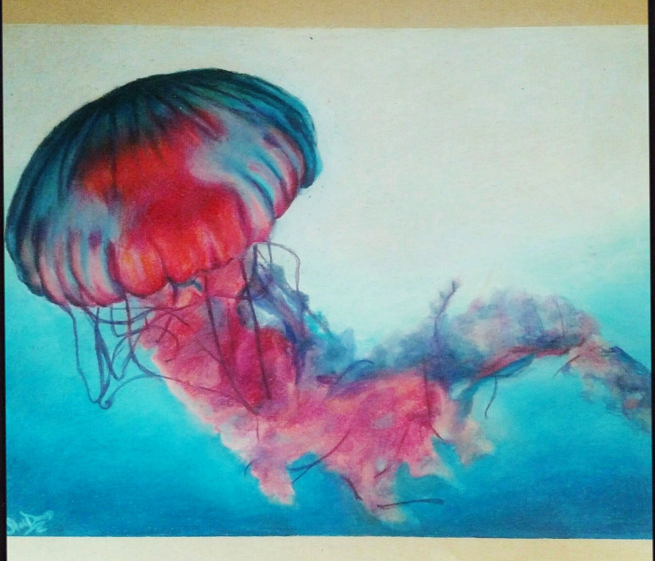 Jellyfish, Colored Pencil, 11x14 Art