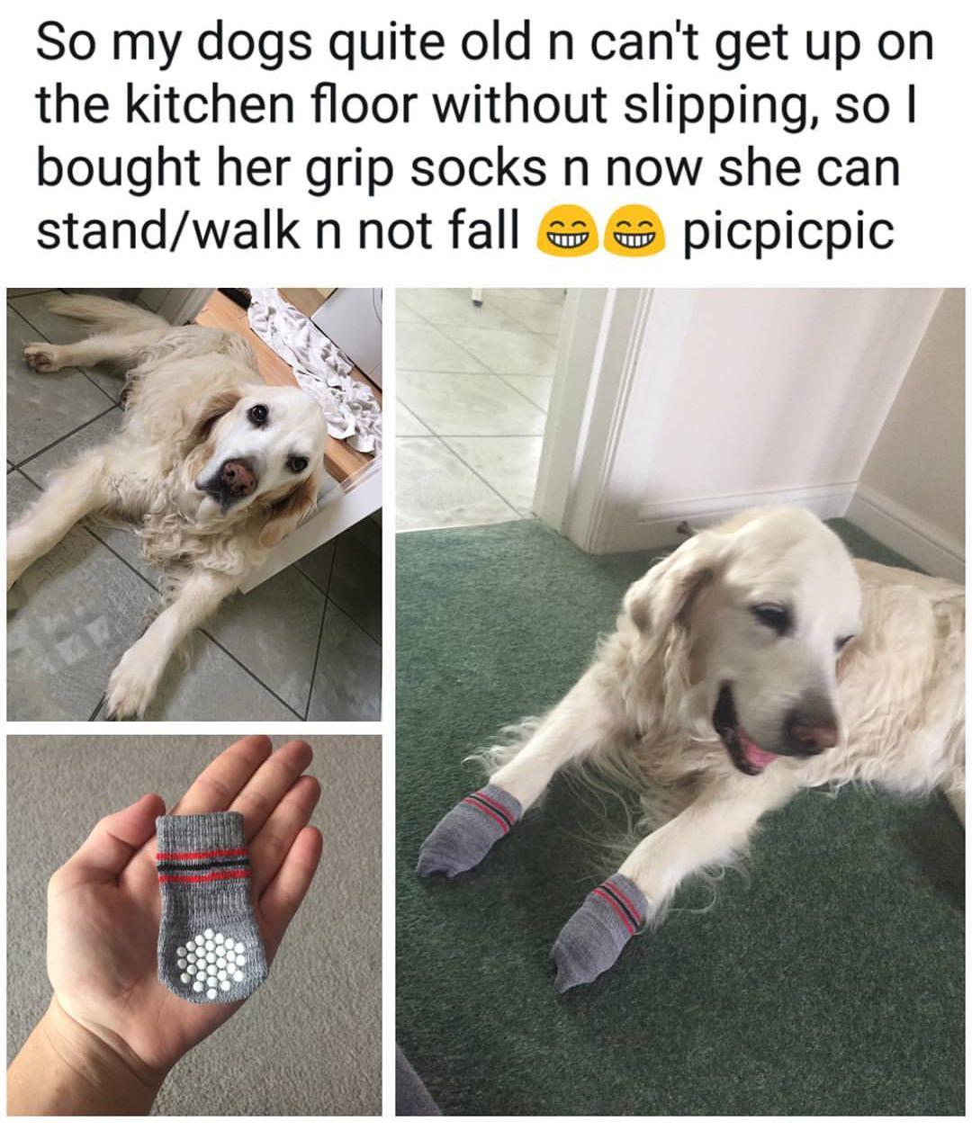 Grip socks r/MadeMeSmile