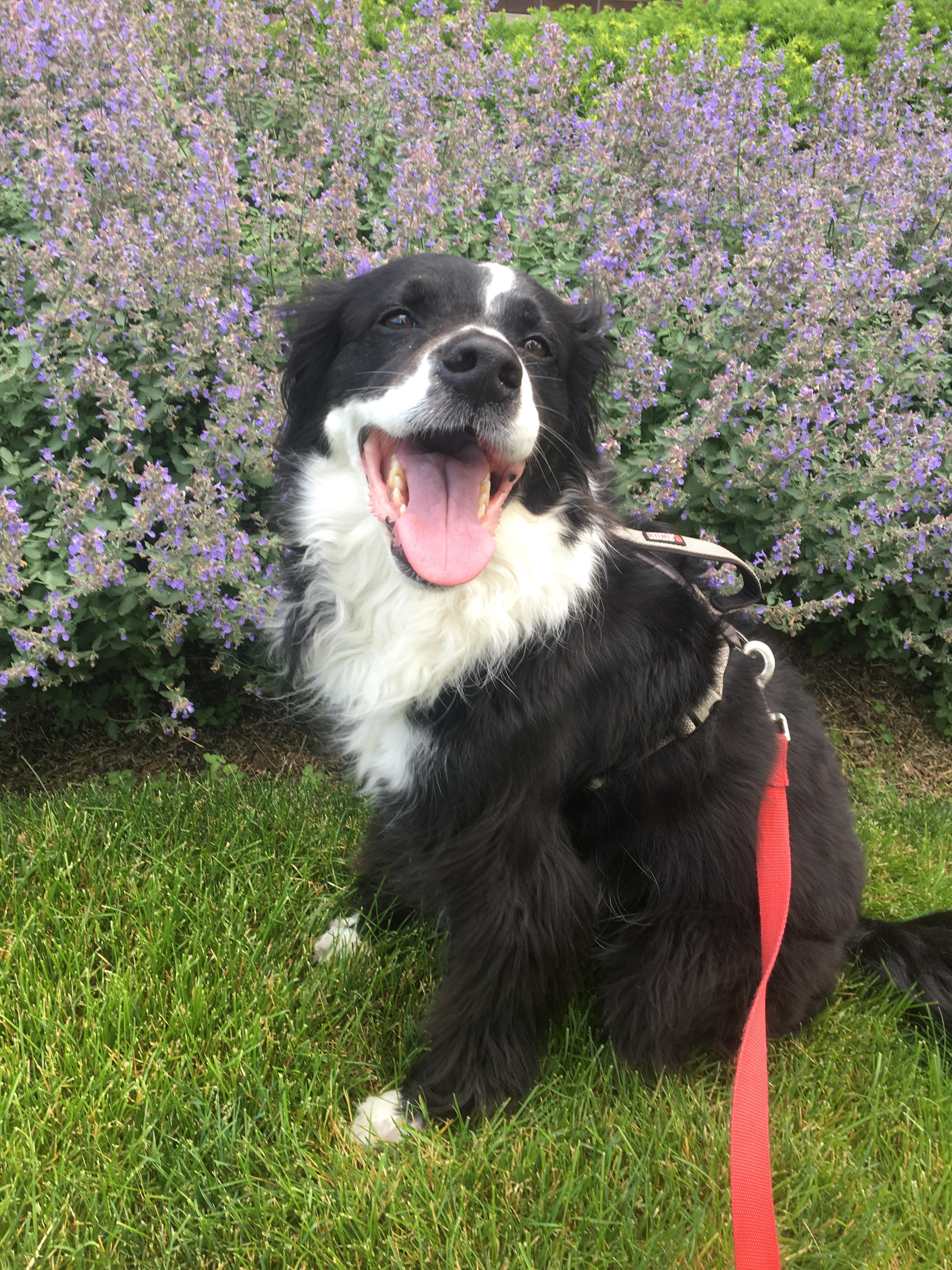 bologna_pony12 (u/bologna_pony12) Reddit