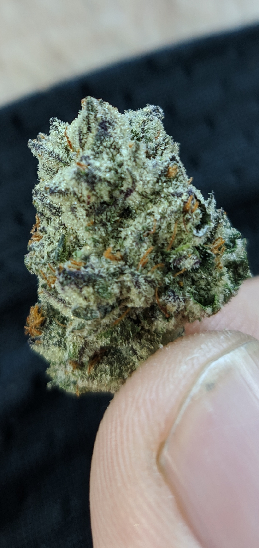 Rise Velvet glove definitely good but guru at 14 Hit me harder. Thc isn't everything. Non the