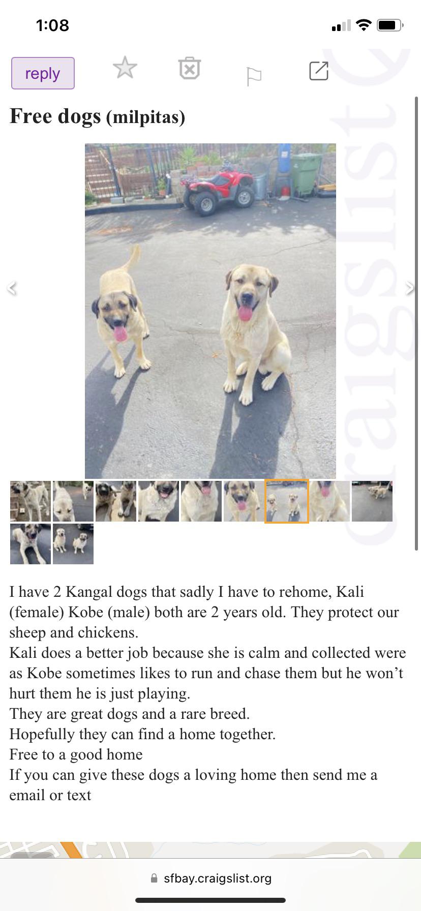 Found this on Craigslist r/bayarea
