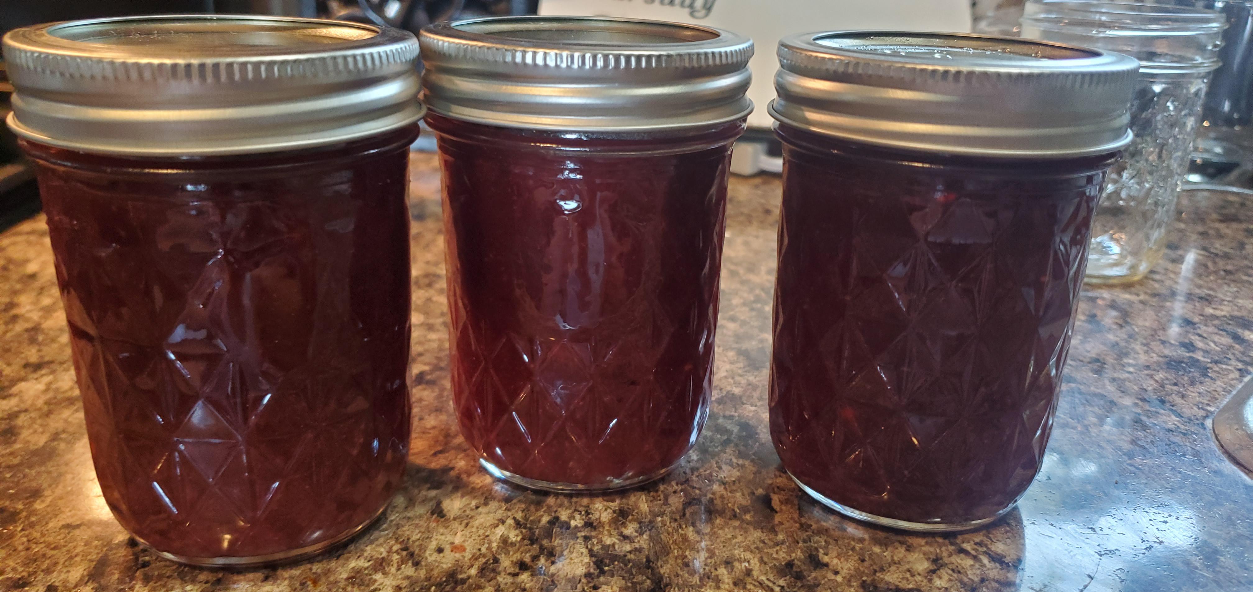 Its huckleberry season here, so I made some huckleberry habanero BBQ