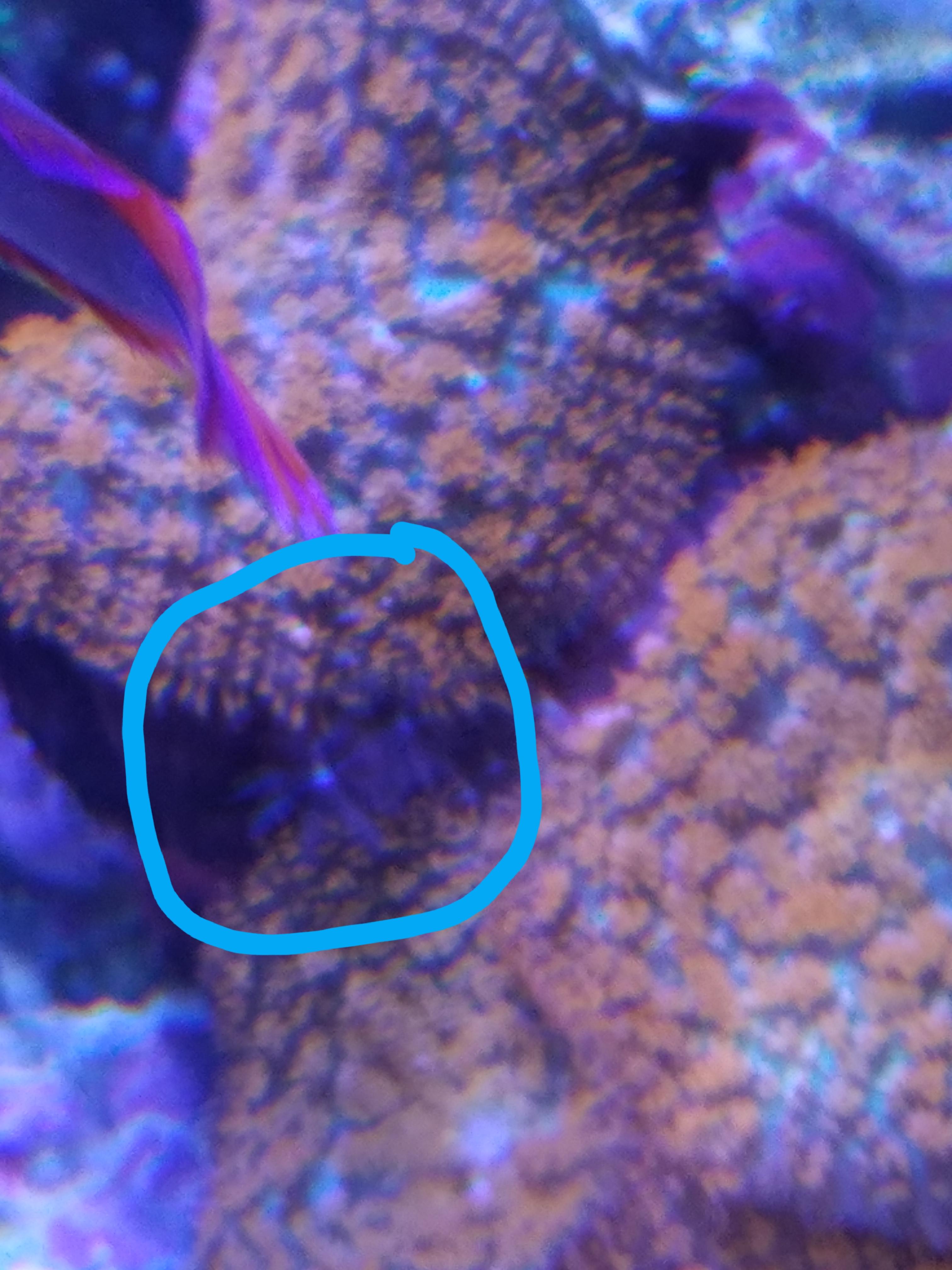 is this good or bad? r/Aquariums