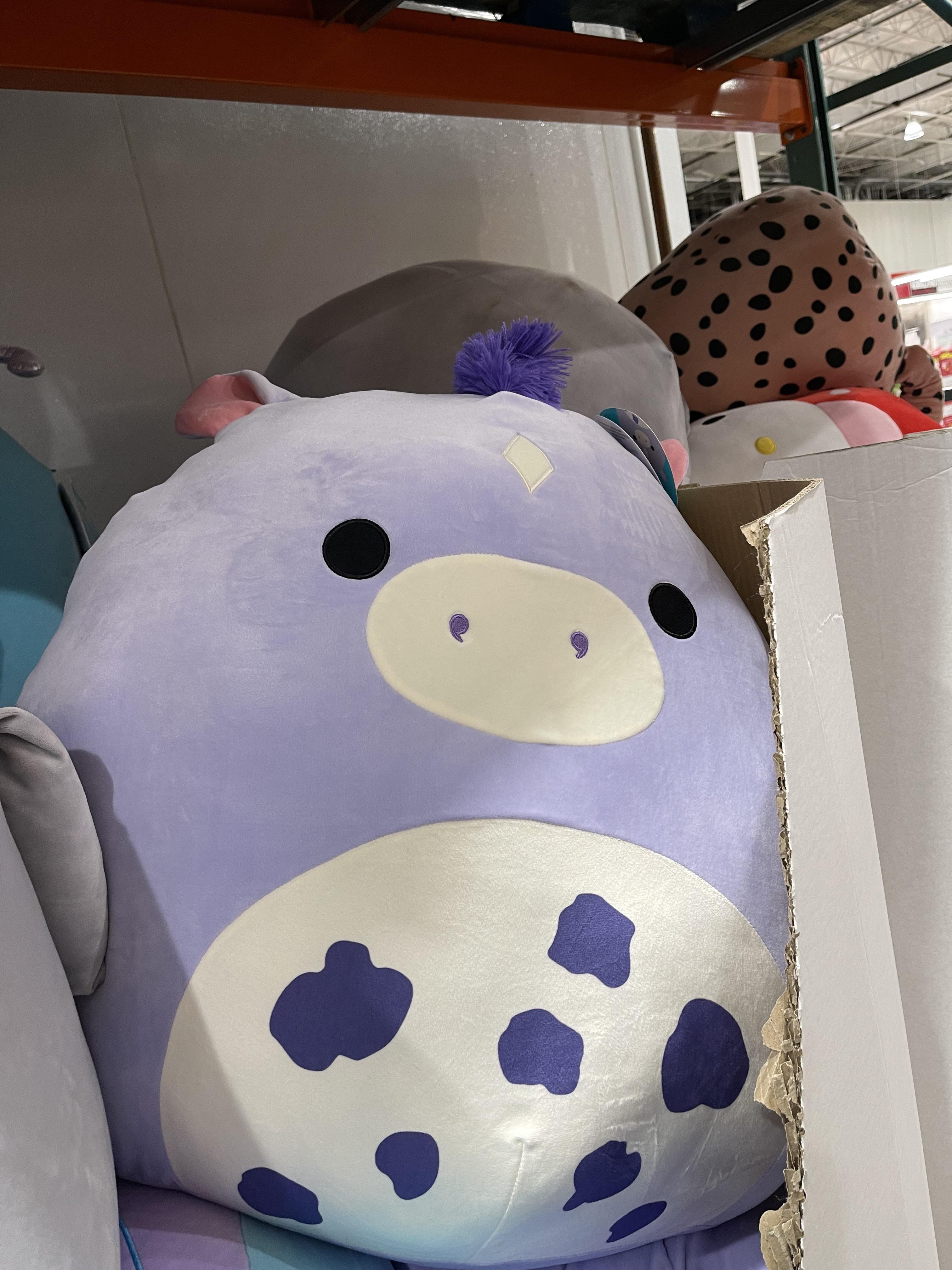 Thought I spotted a Giant Bubba at Costco. Turns out it’s a horse named