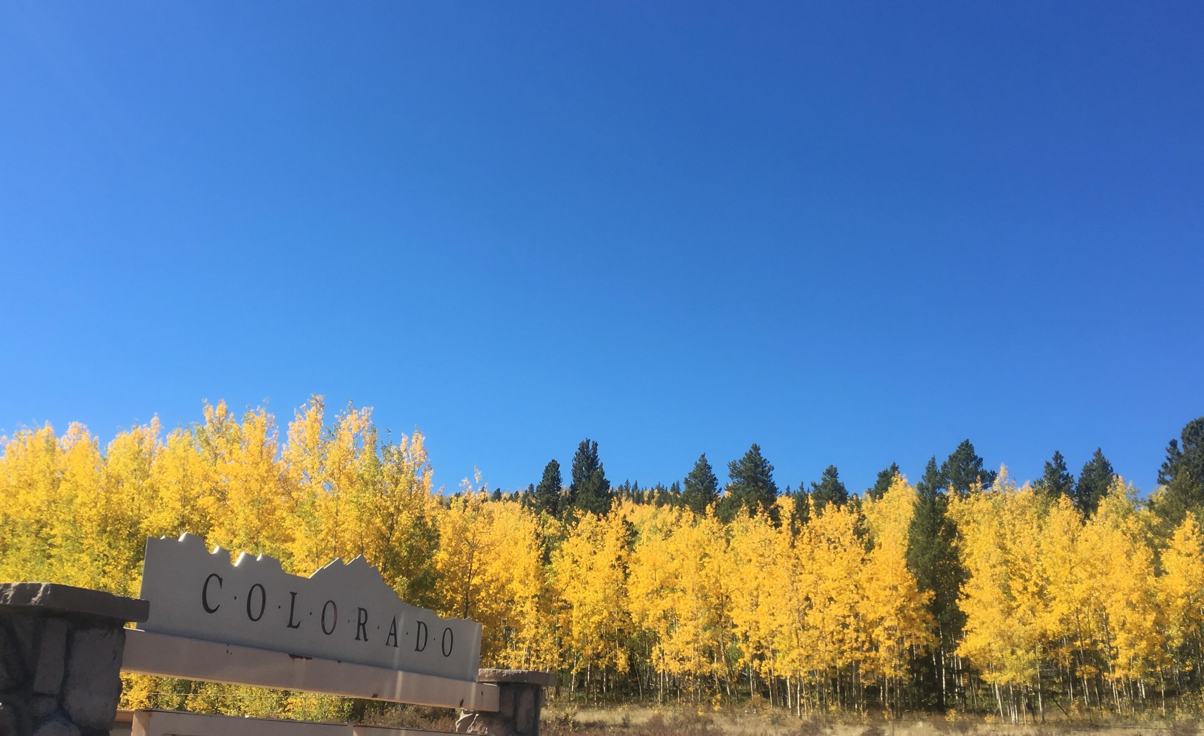 Fall at Kenosha Pass, near FairPlay, CO r/hiking