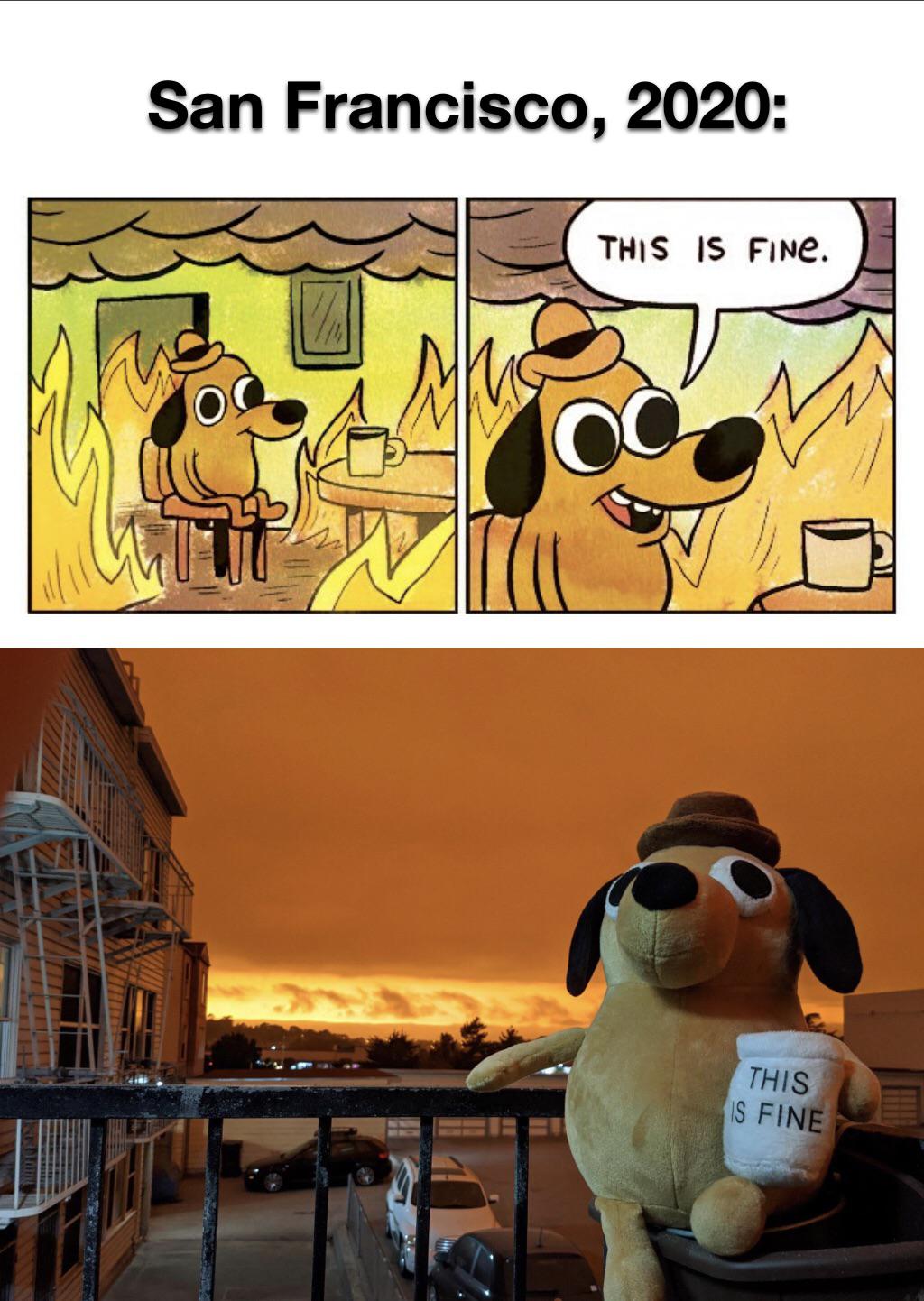 When Memes Come To Life memes
