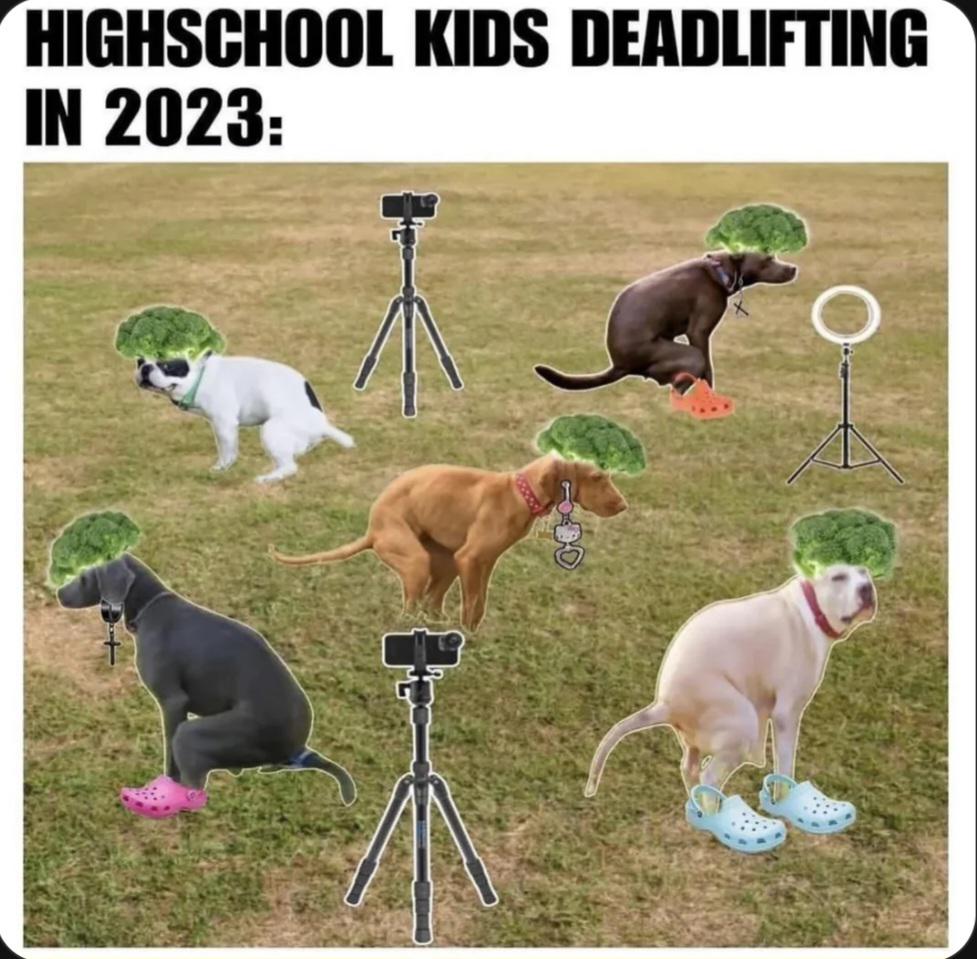 overview for MiaDeleonXO