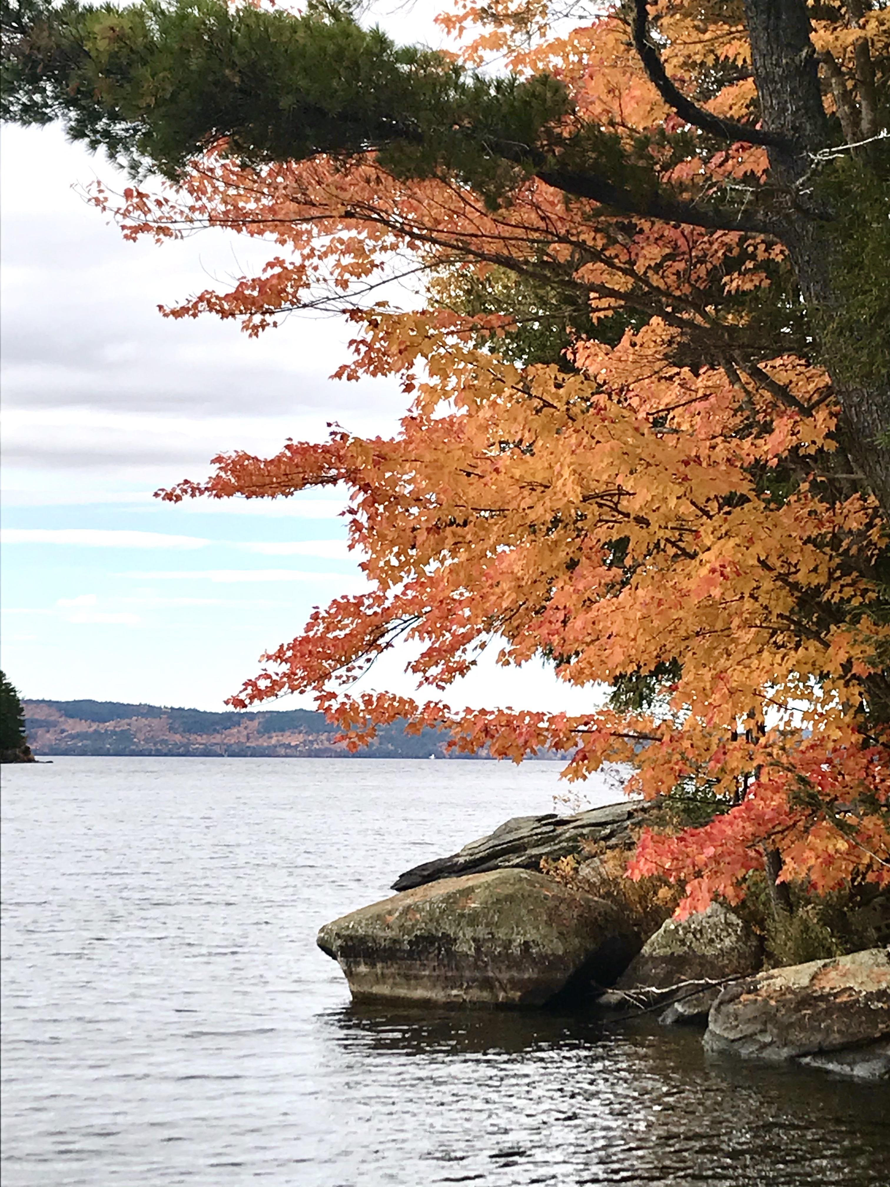 Sebec Lake foliage r/Maine