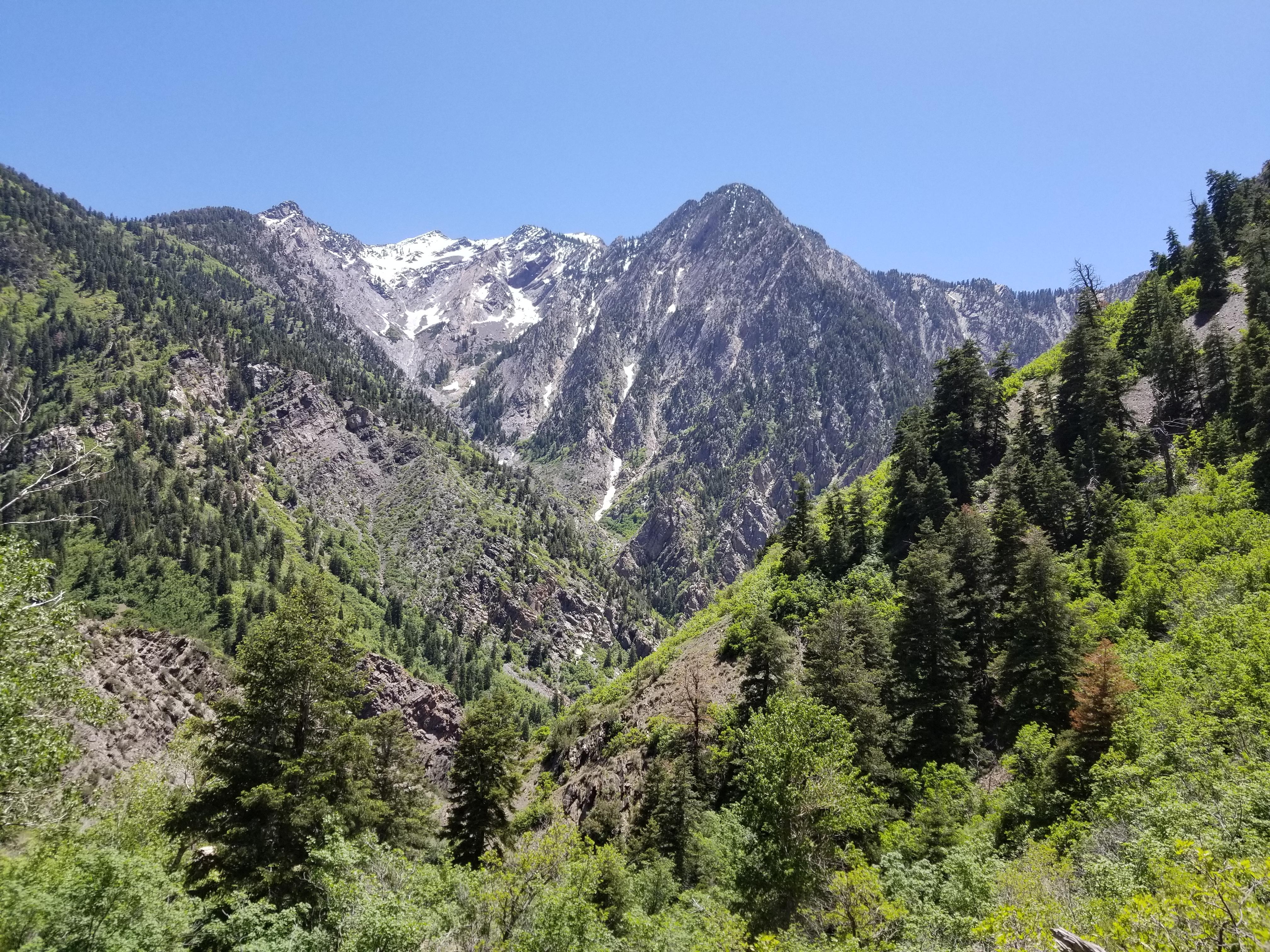 Big Cottonwood Canyon Events June 9 2024 Damn Utah, you pretty. (Big Cottonwood Canyon) Utah