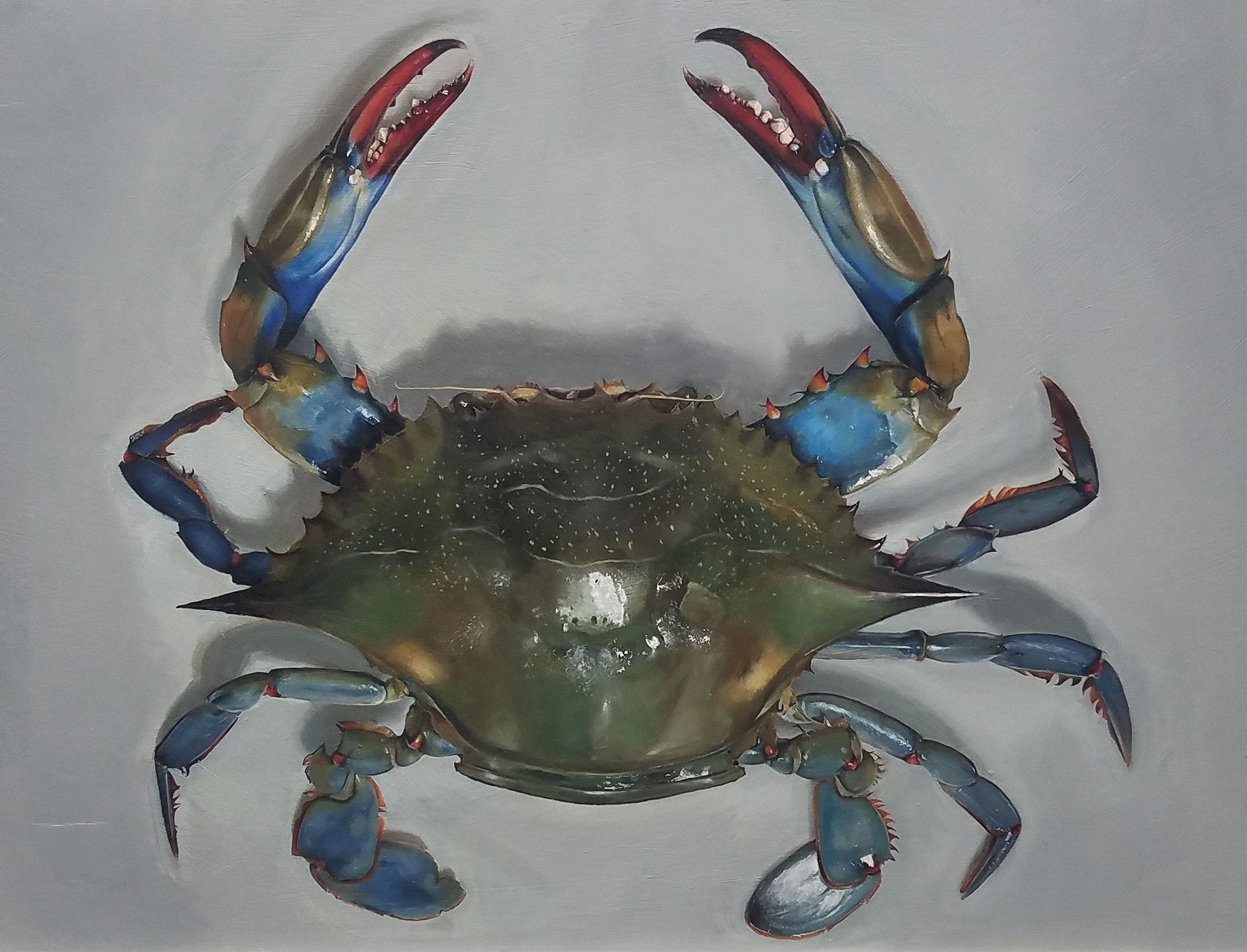 Just finished this crab painting! What do you guys think? r/oceans