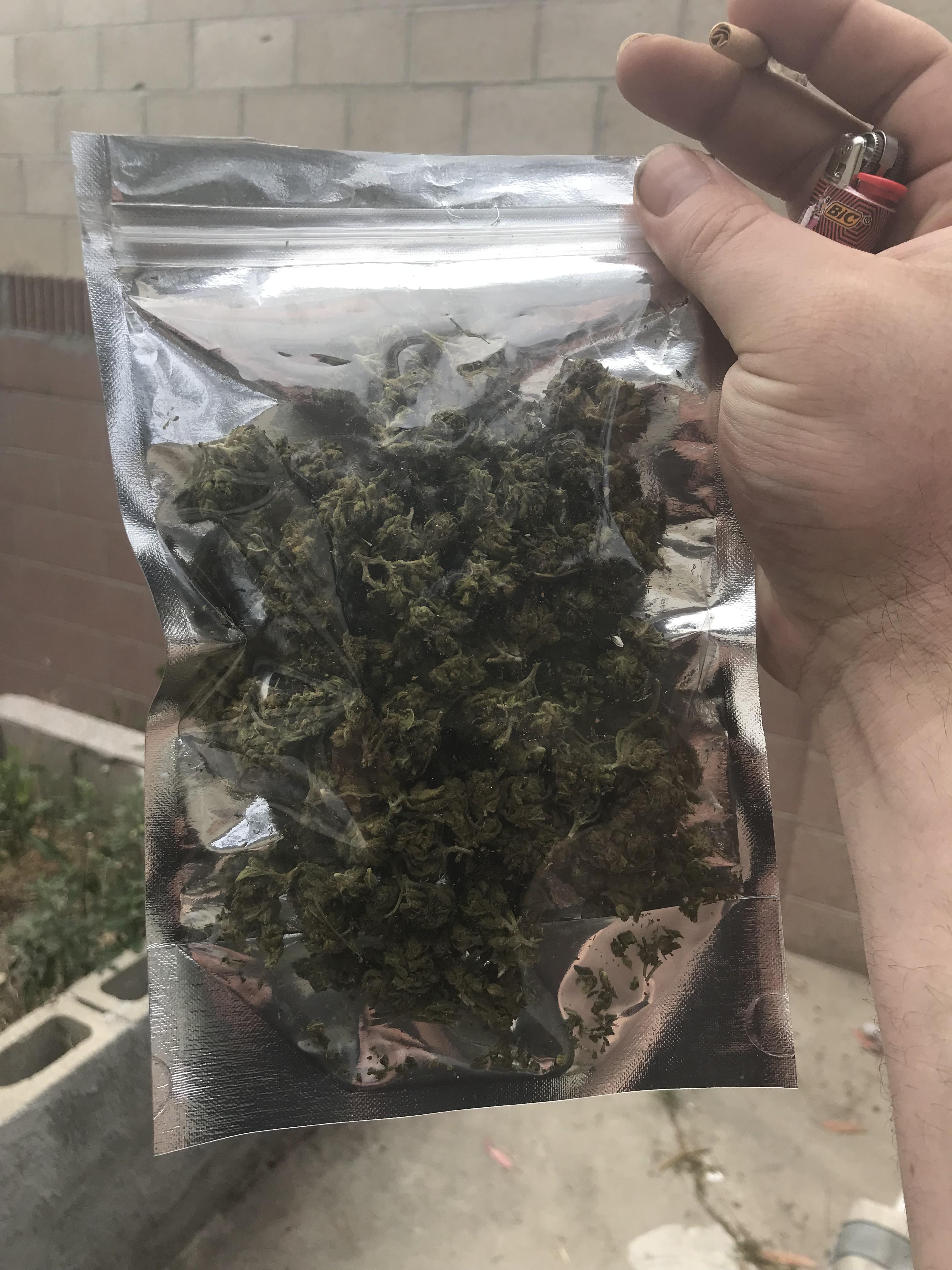 60 bucks delivered (California) trees