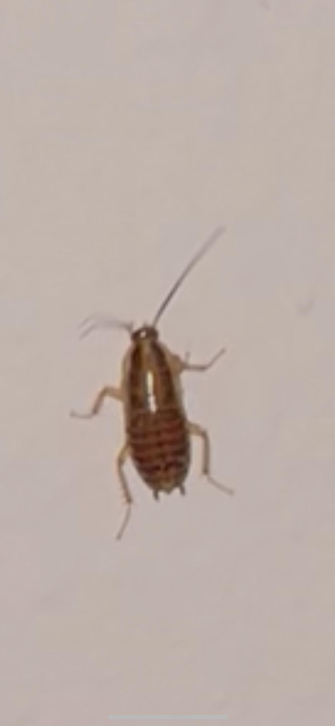 Sorry I know this is poor quality but does anyone know what type of