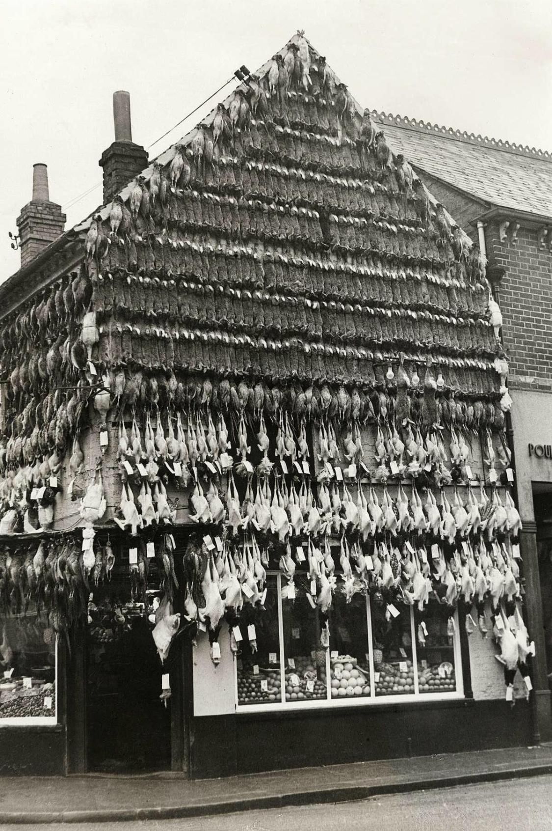 Butcher shop, High England, 1938 {1125 x 1692} r/HistoryPorn
