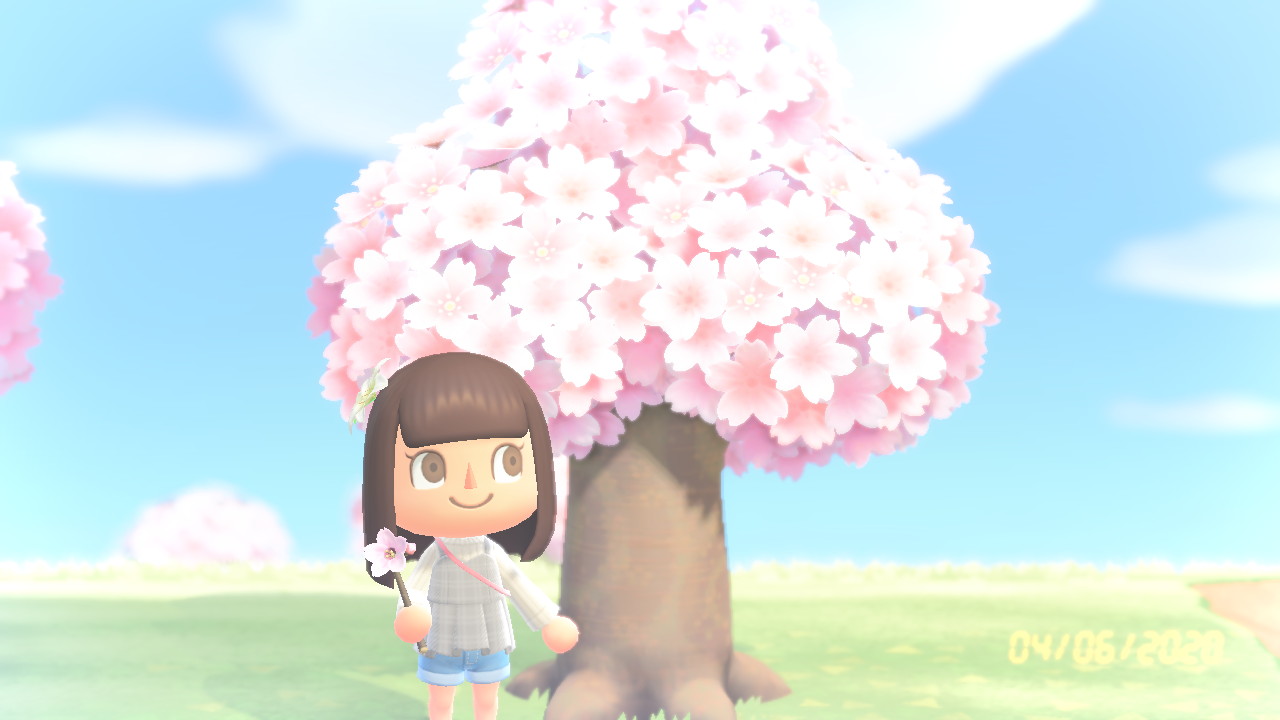 cherry blossom wand 🌸 r/AnimalCrossing