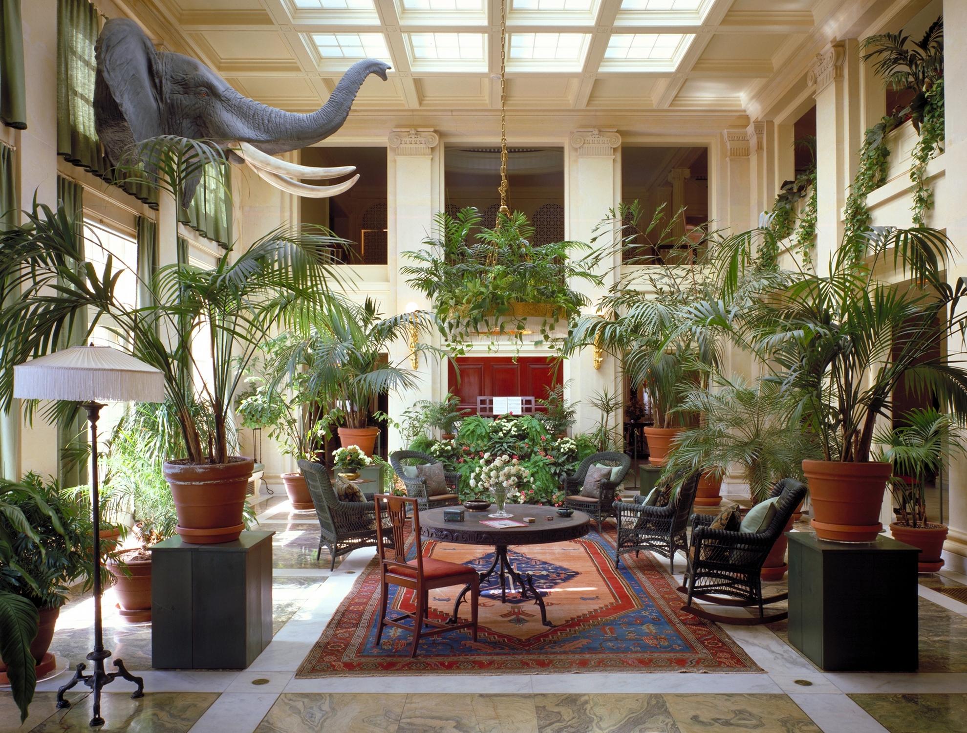 Conservatory at the Eastman House Museum in Rochester, NY