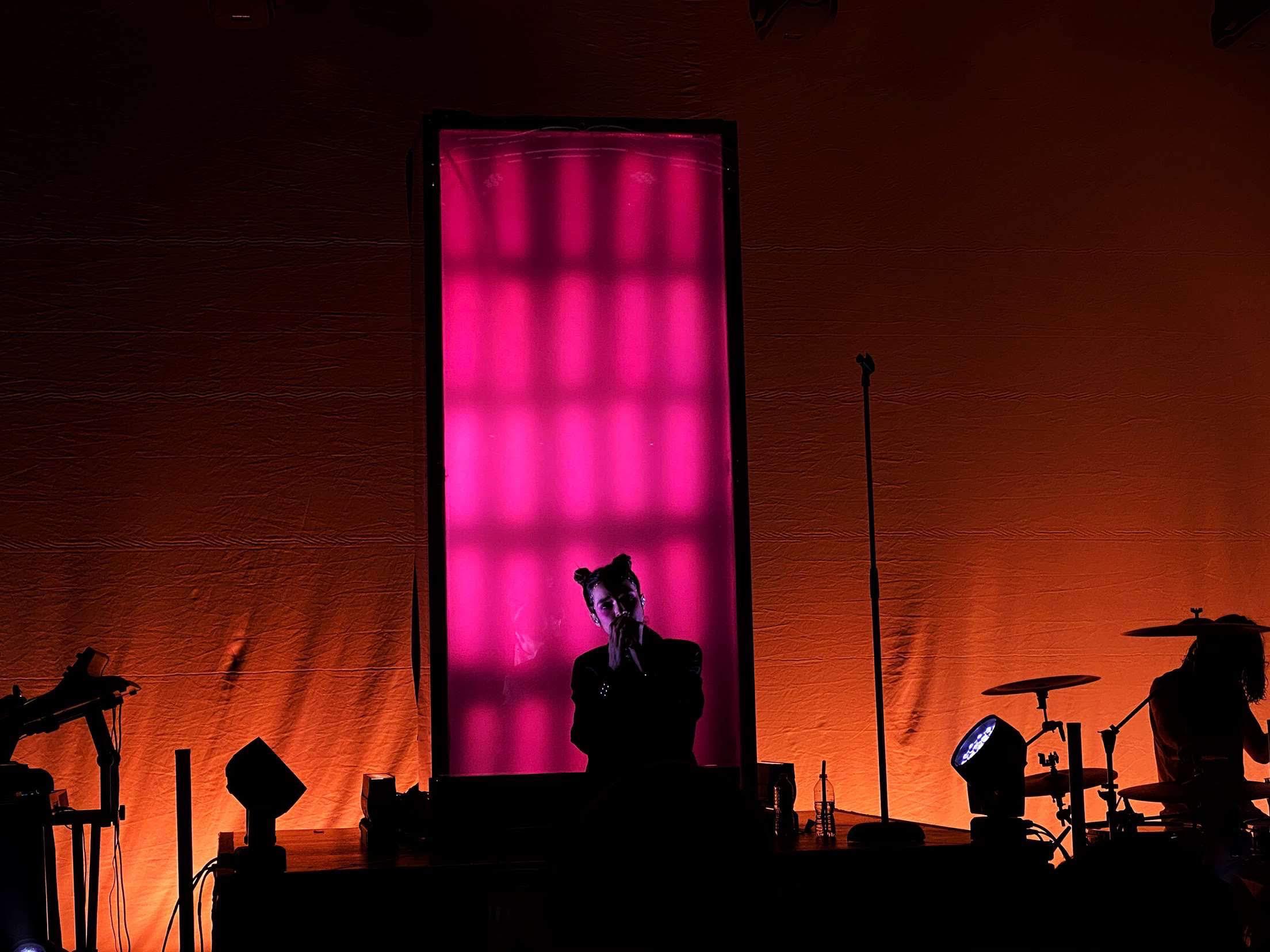 Poppy performing in Philly last night r/that_Poppy