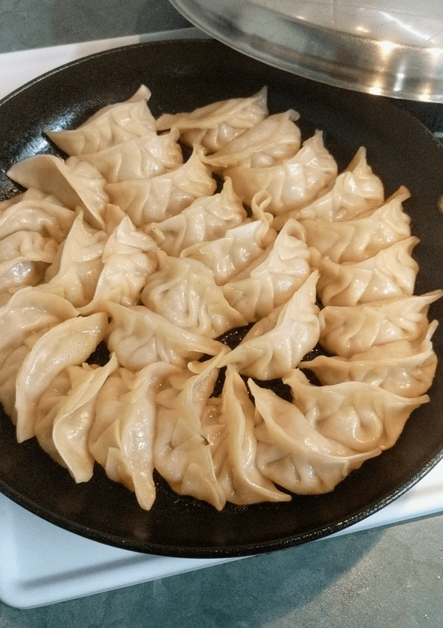 [homemade] pork dumplings r/food