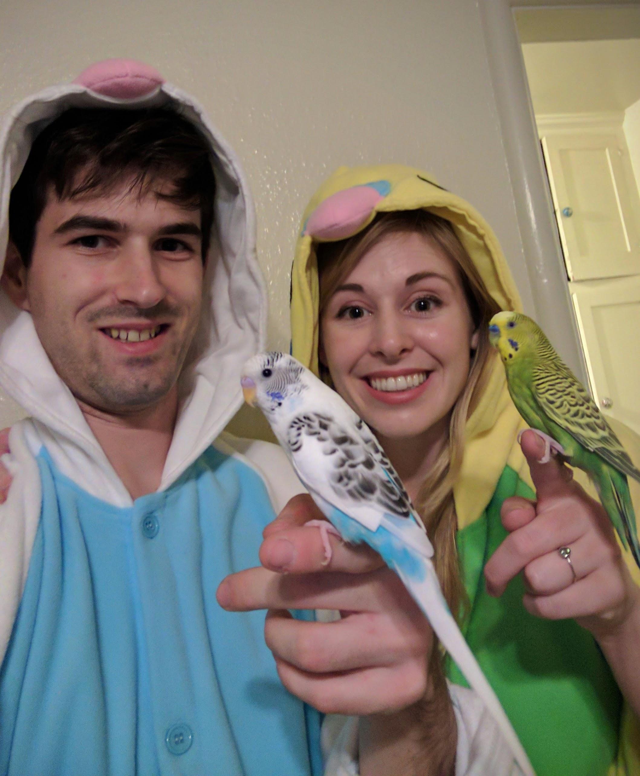 We Were Our Budgies for Halloween. r/parrots