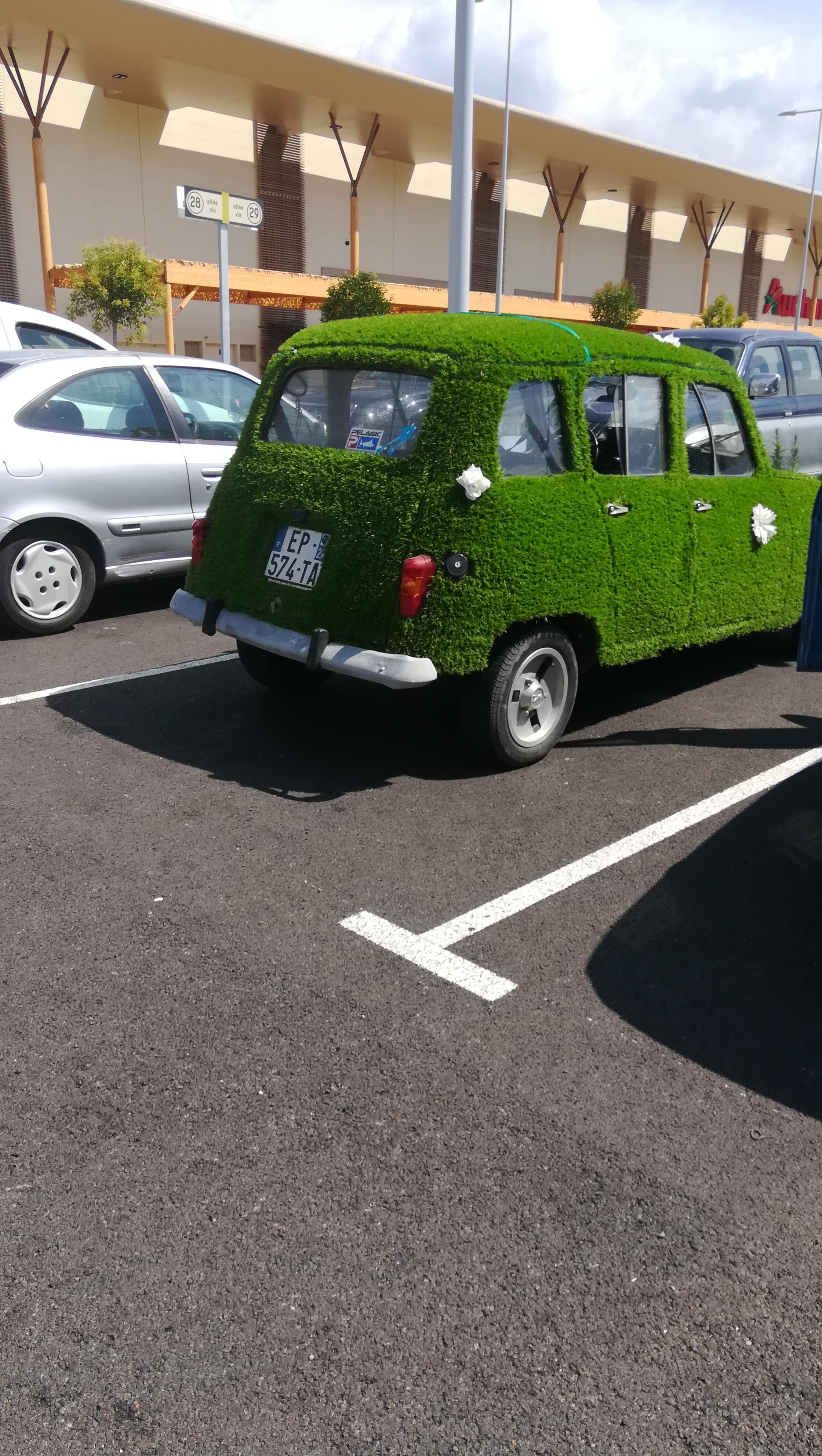 The flowers are blooming r/DiWHY