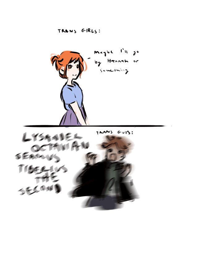 Posting Trans Memes every day until I turn 18 Day 39