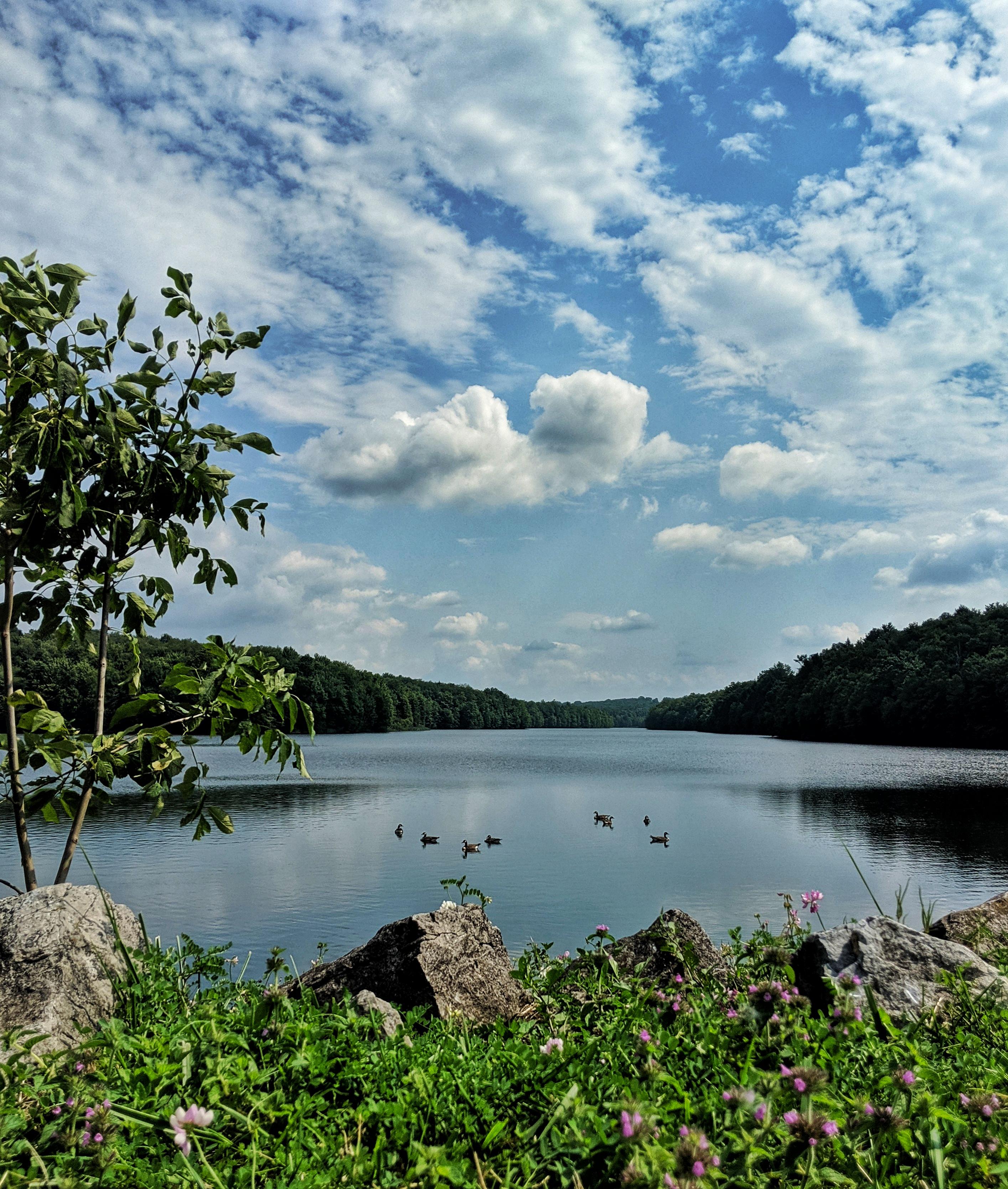Ebensburg Reservoir trail. Or goose poop hopscotch. r/Pennsylvania