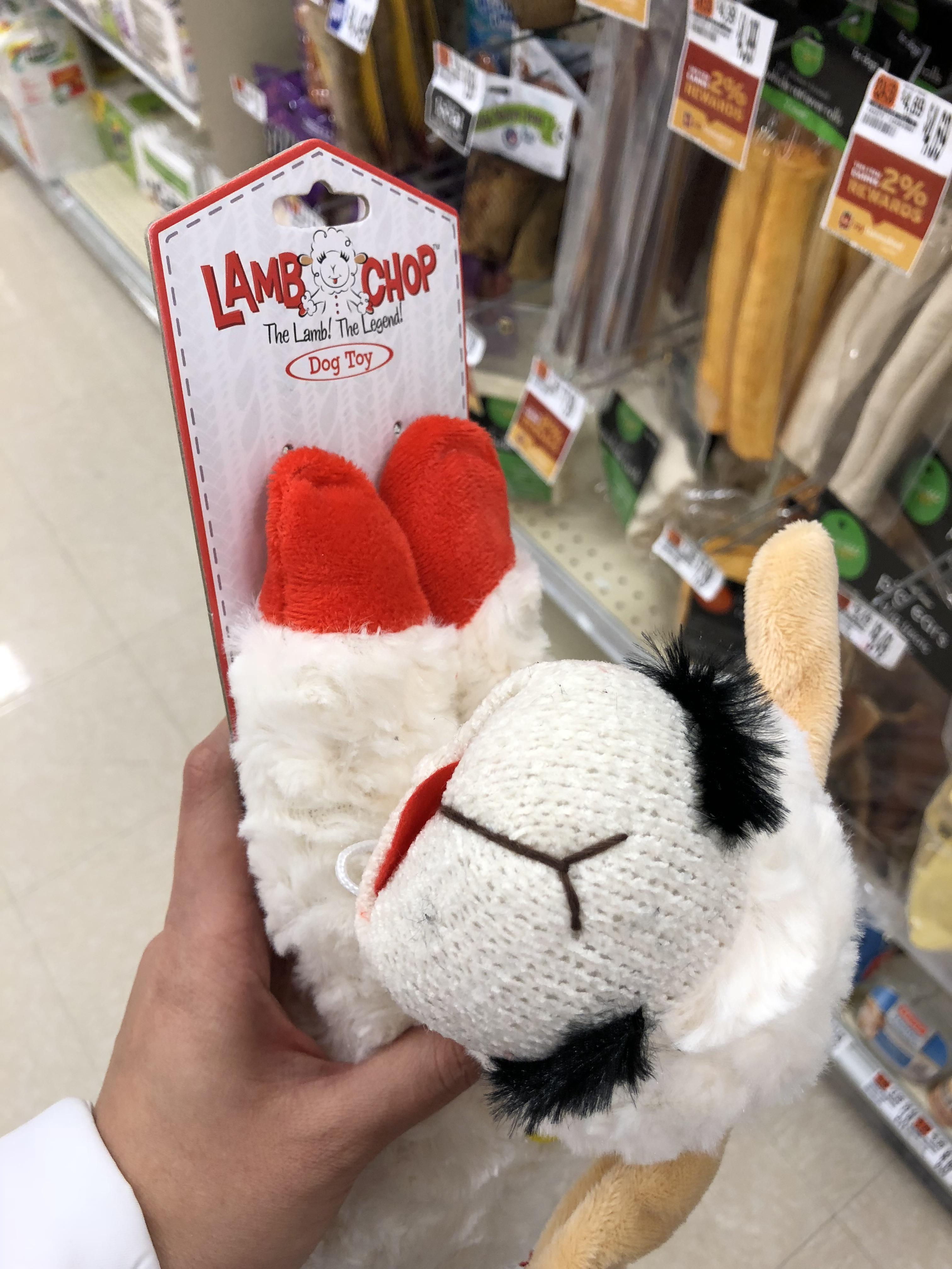 Lamb Chop found a new line of work r/pics