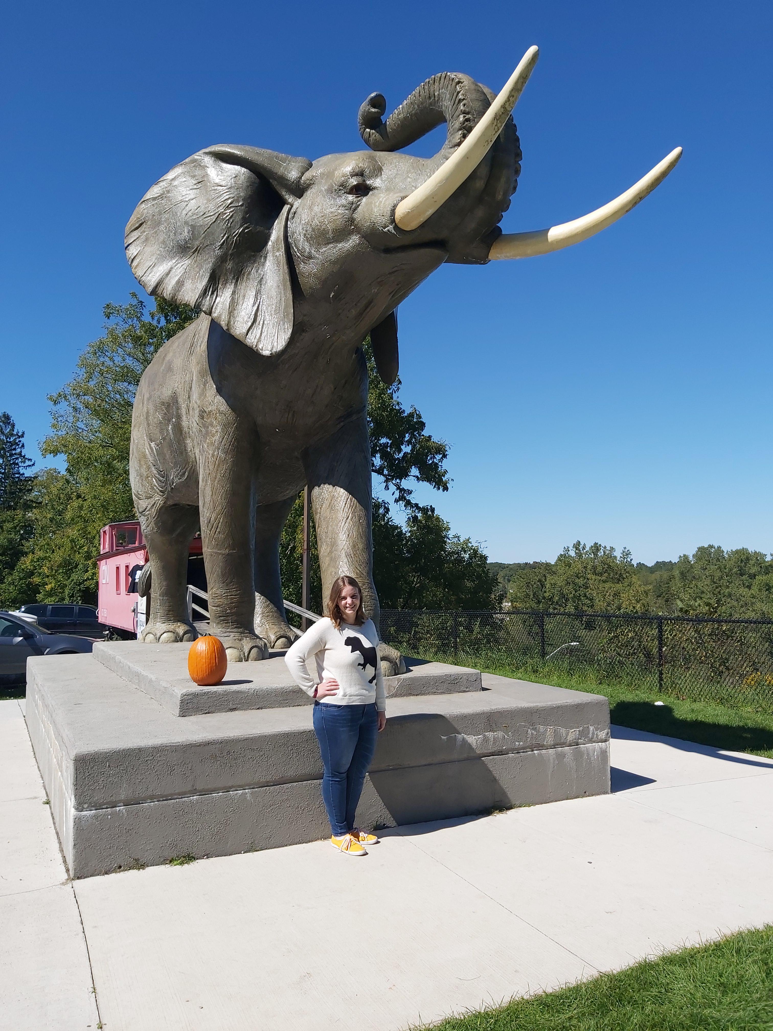 Jumbo the Elephant, born 1861, lived at the London Zoo most of his life before touring the