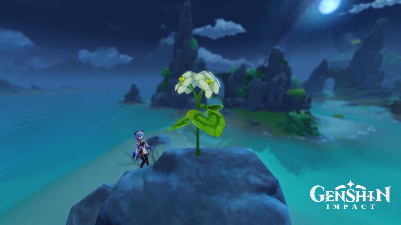 When you’re a Qingxin flower enjoying the moonlight, but Cocogoat is