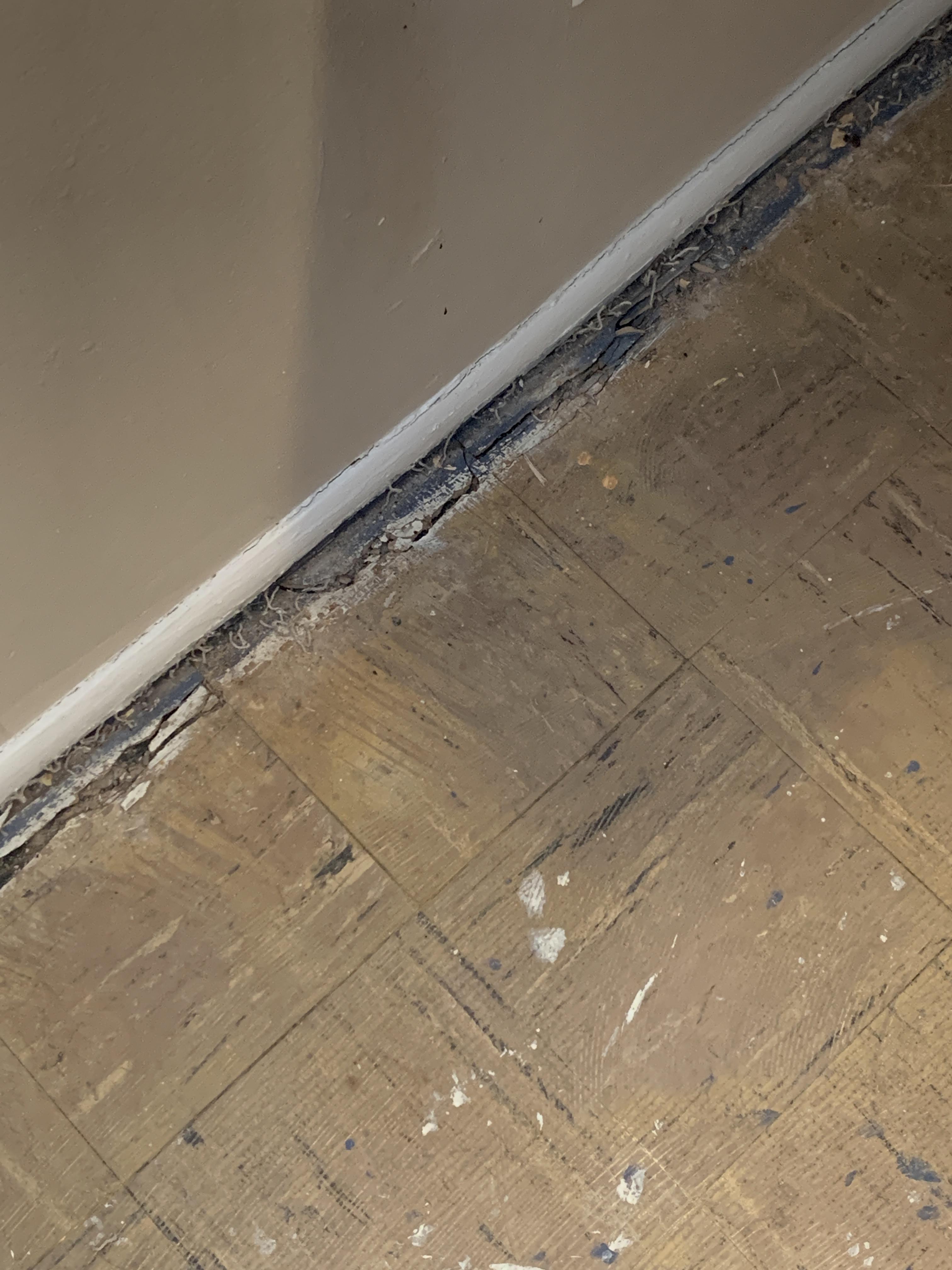 I am getting ready to install new vinyl floors. After ripping up the