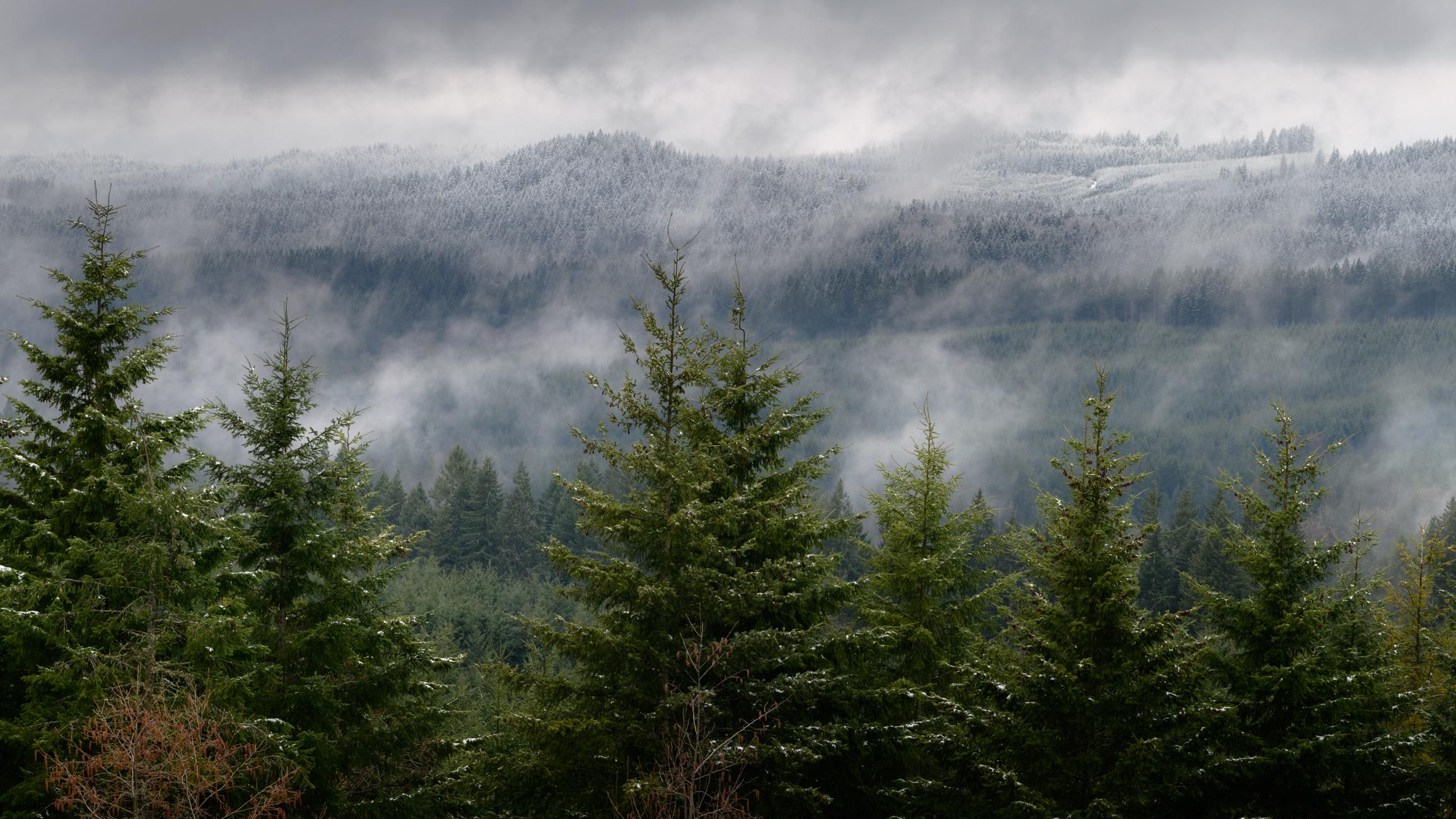 Snow in March, Oregon Coast Range [OC] [2309x1299] r/EarthPorn
